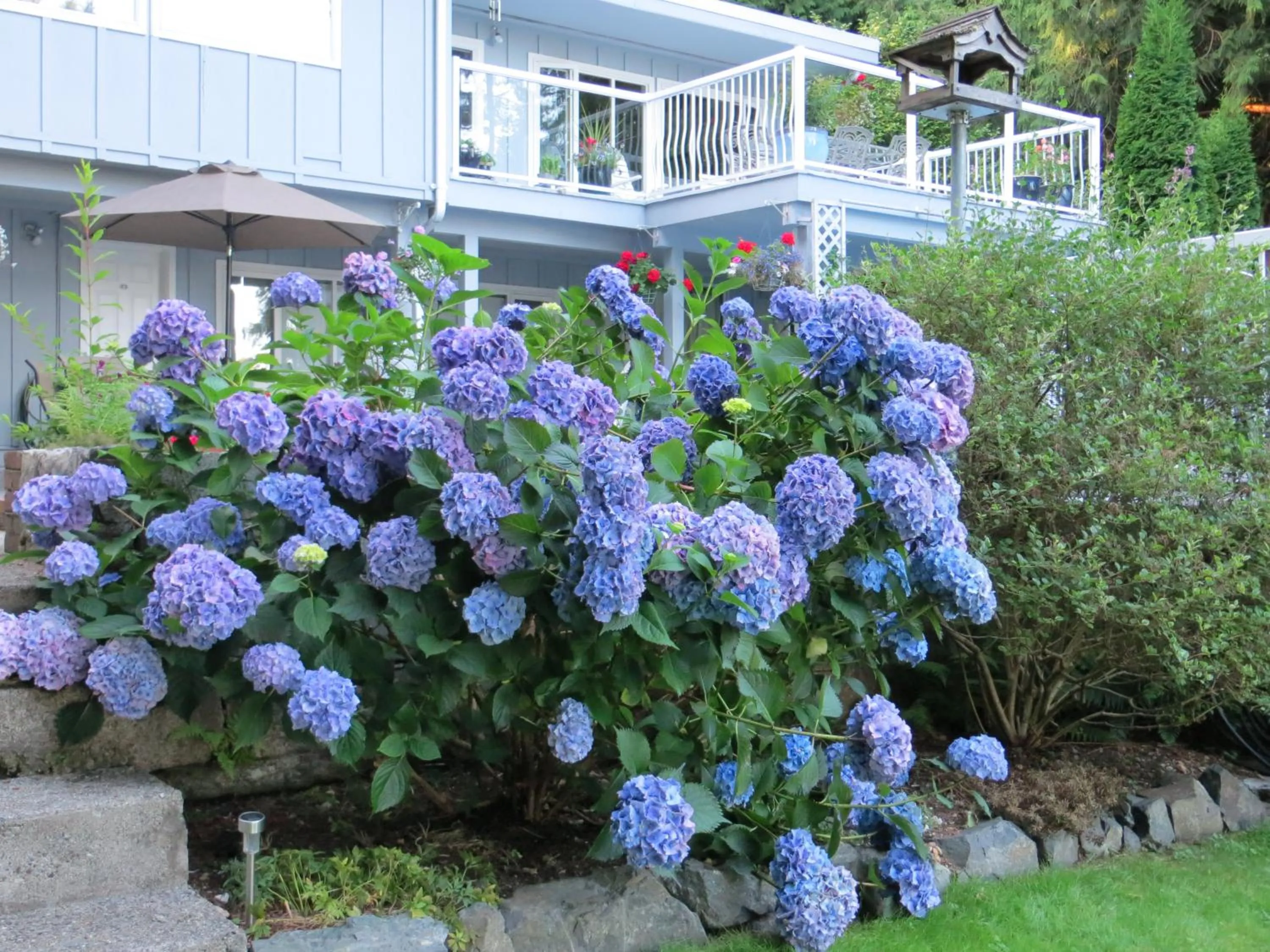 Garden view in Caprice