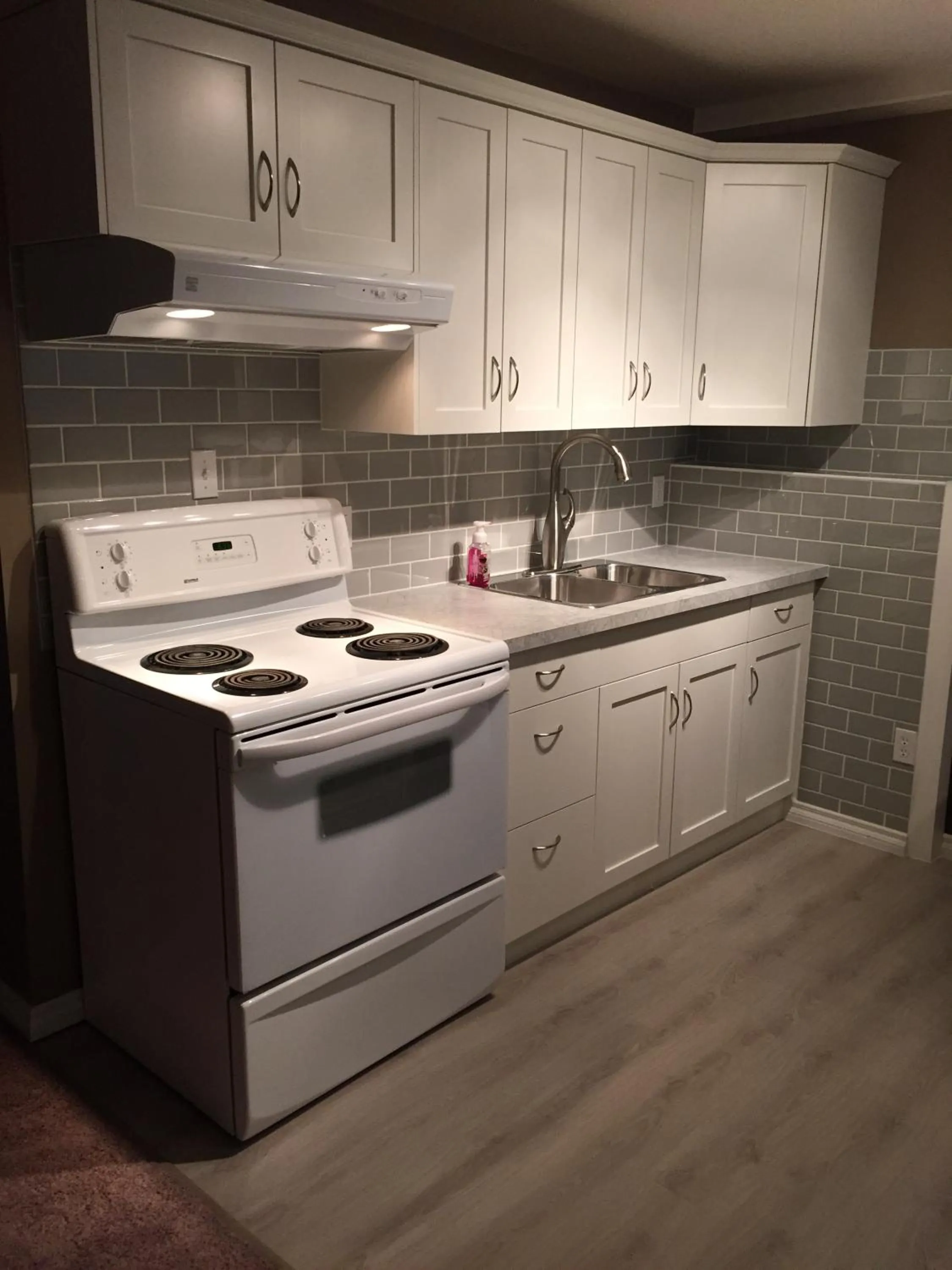 Kitchen or kitchenette in Newly Renovated Basement Suite!