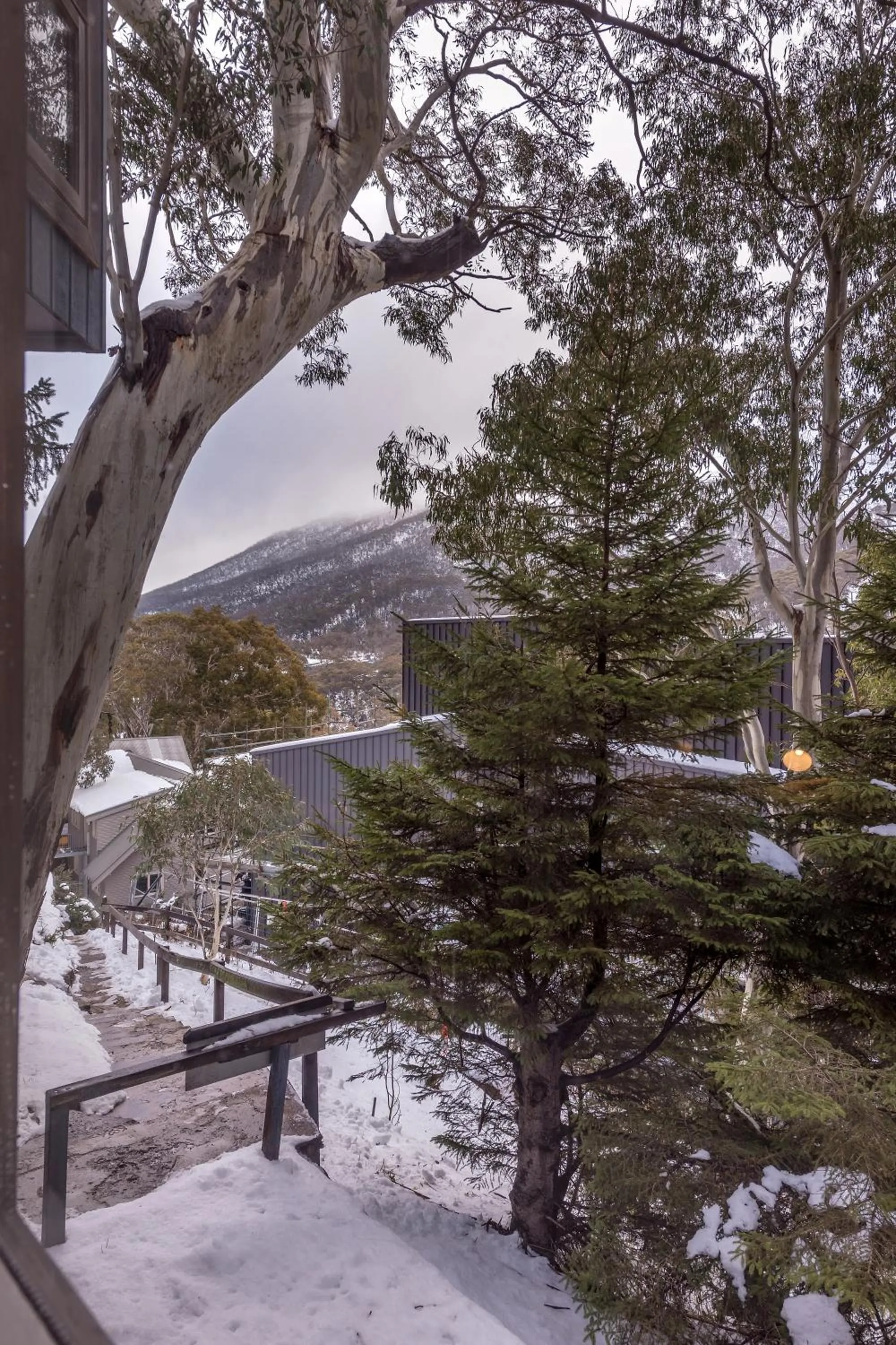 Mountain view in Pure Chalet Thredbo