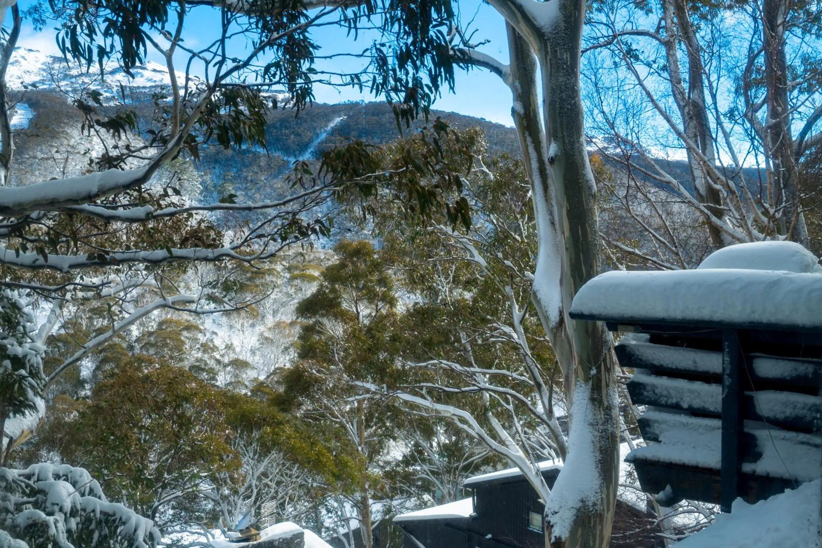 Mountain view in Pure Chalet Thredbo