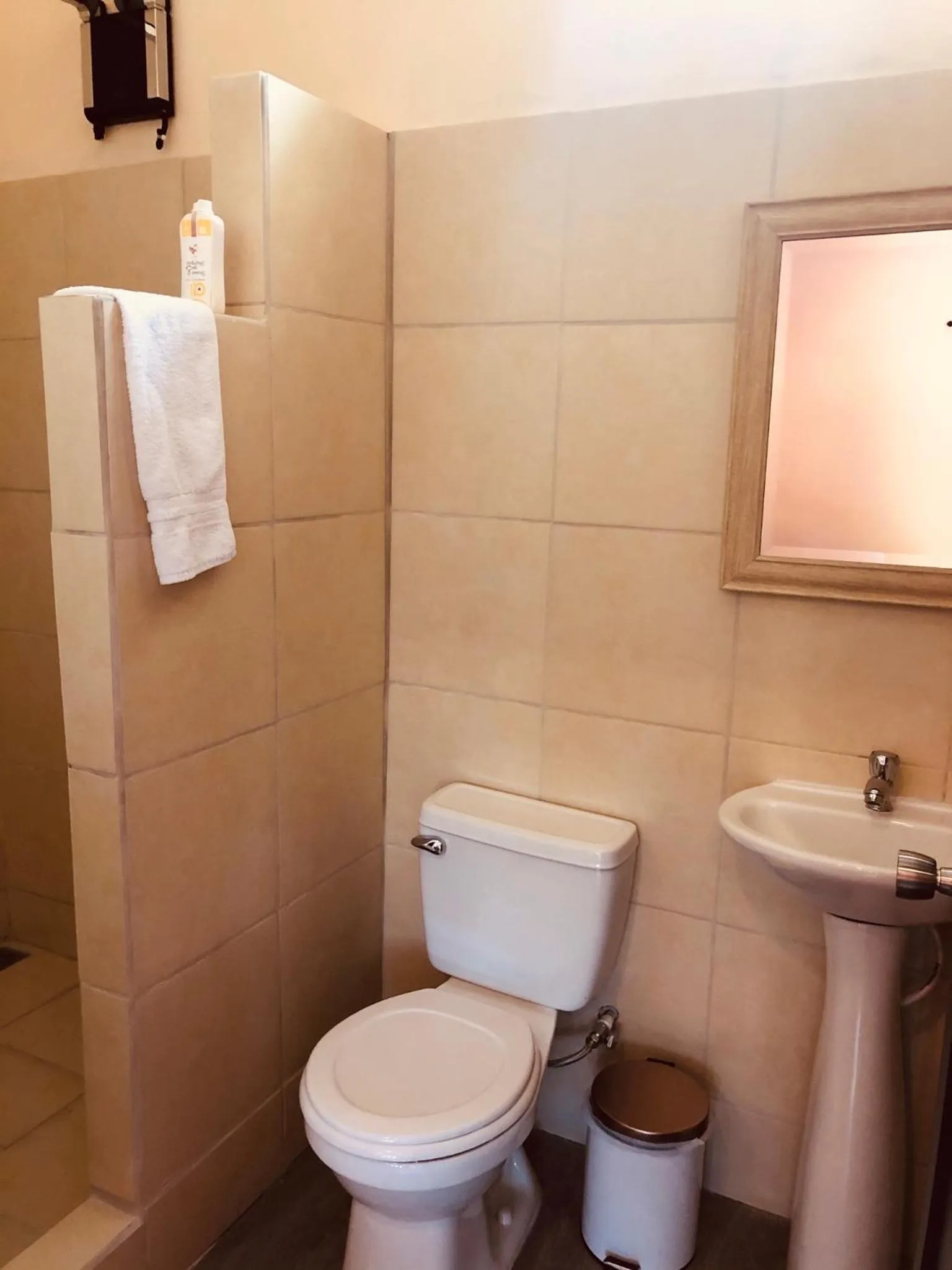 Bathroom in Millenium Manuel Antonio Park and beach