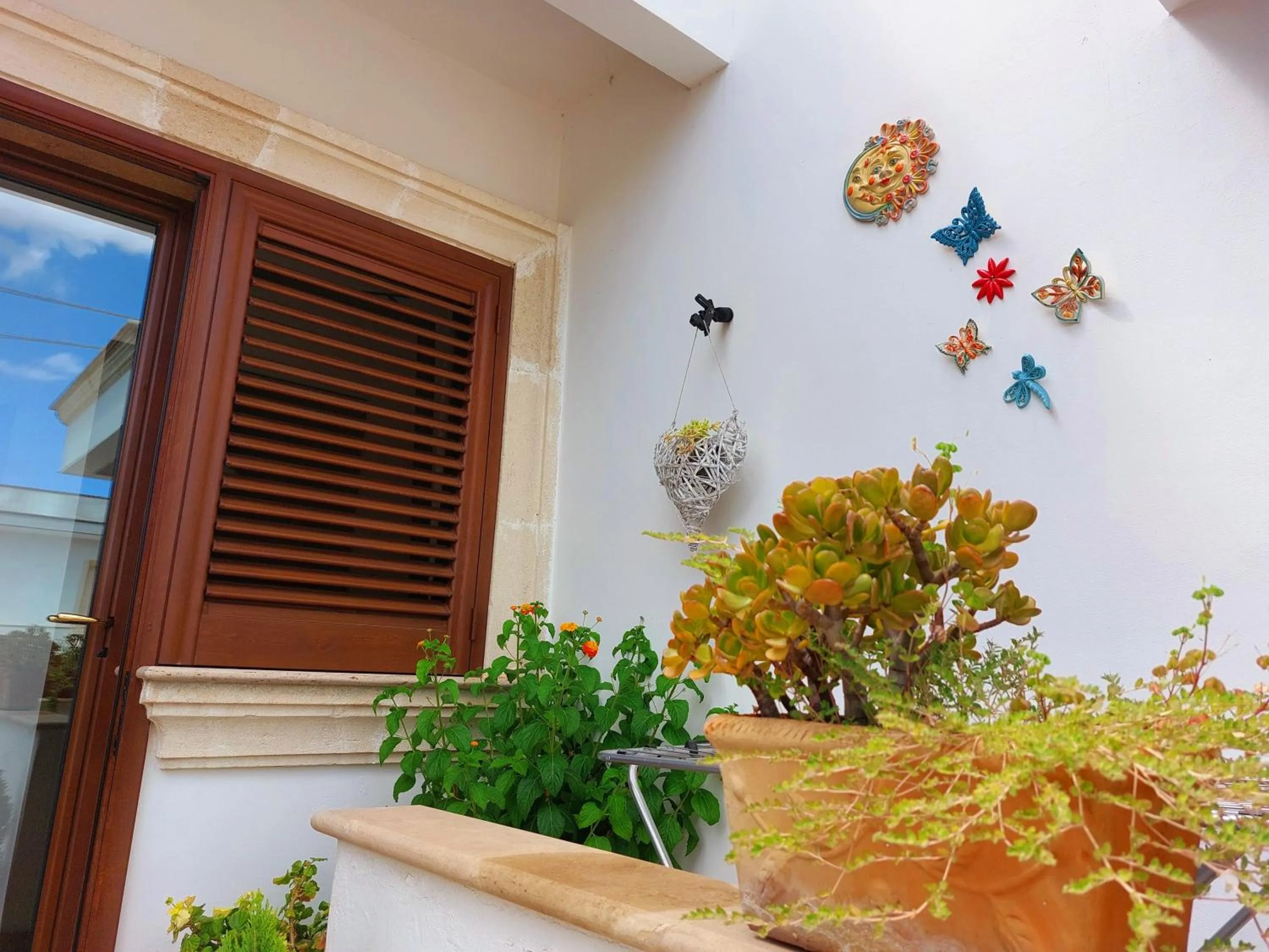 Garden in Mama Damì