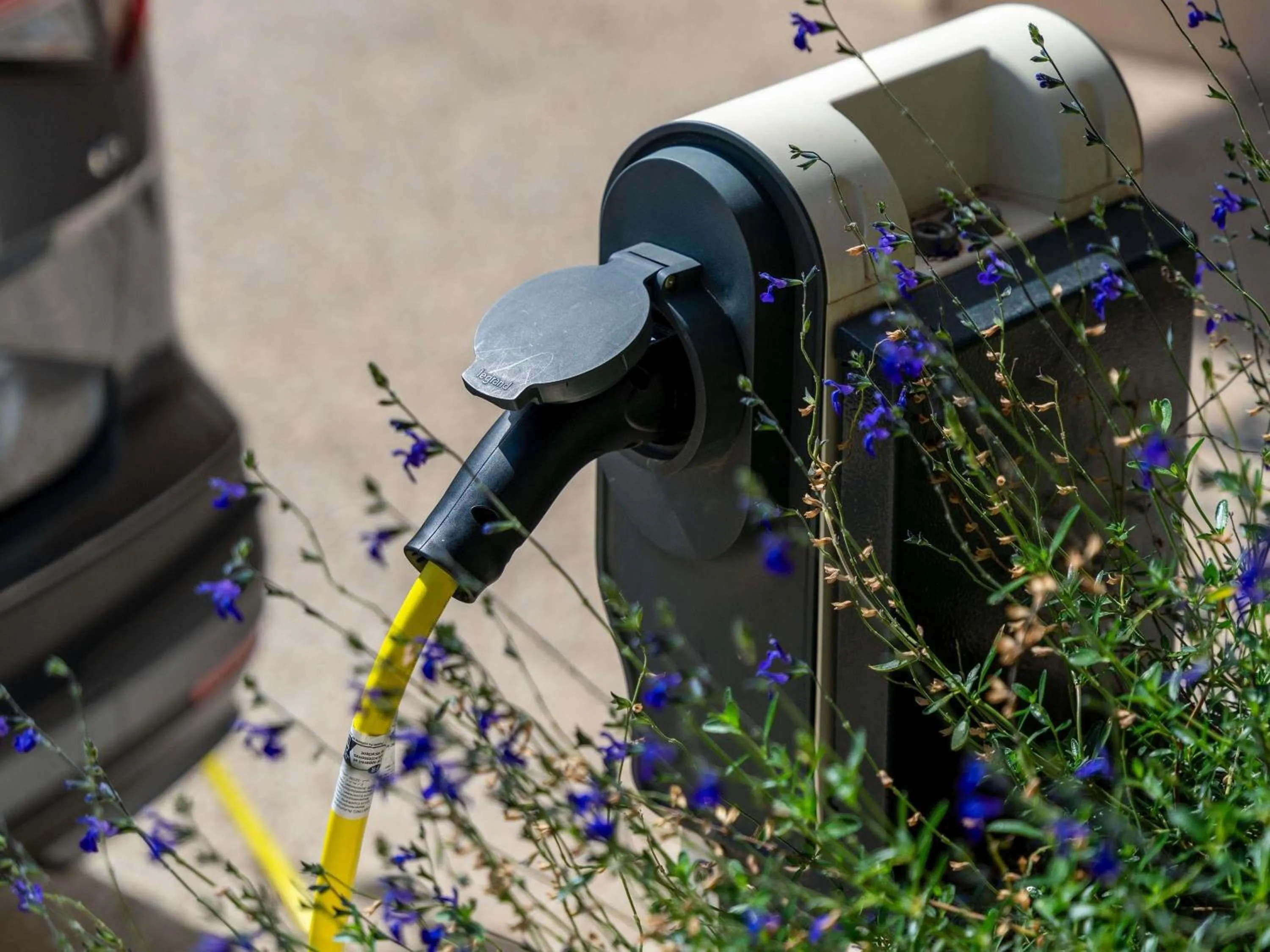 Other in Mercure Avignon TGV Hotel & Spa