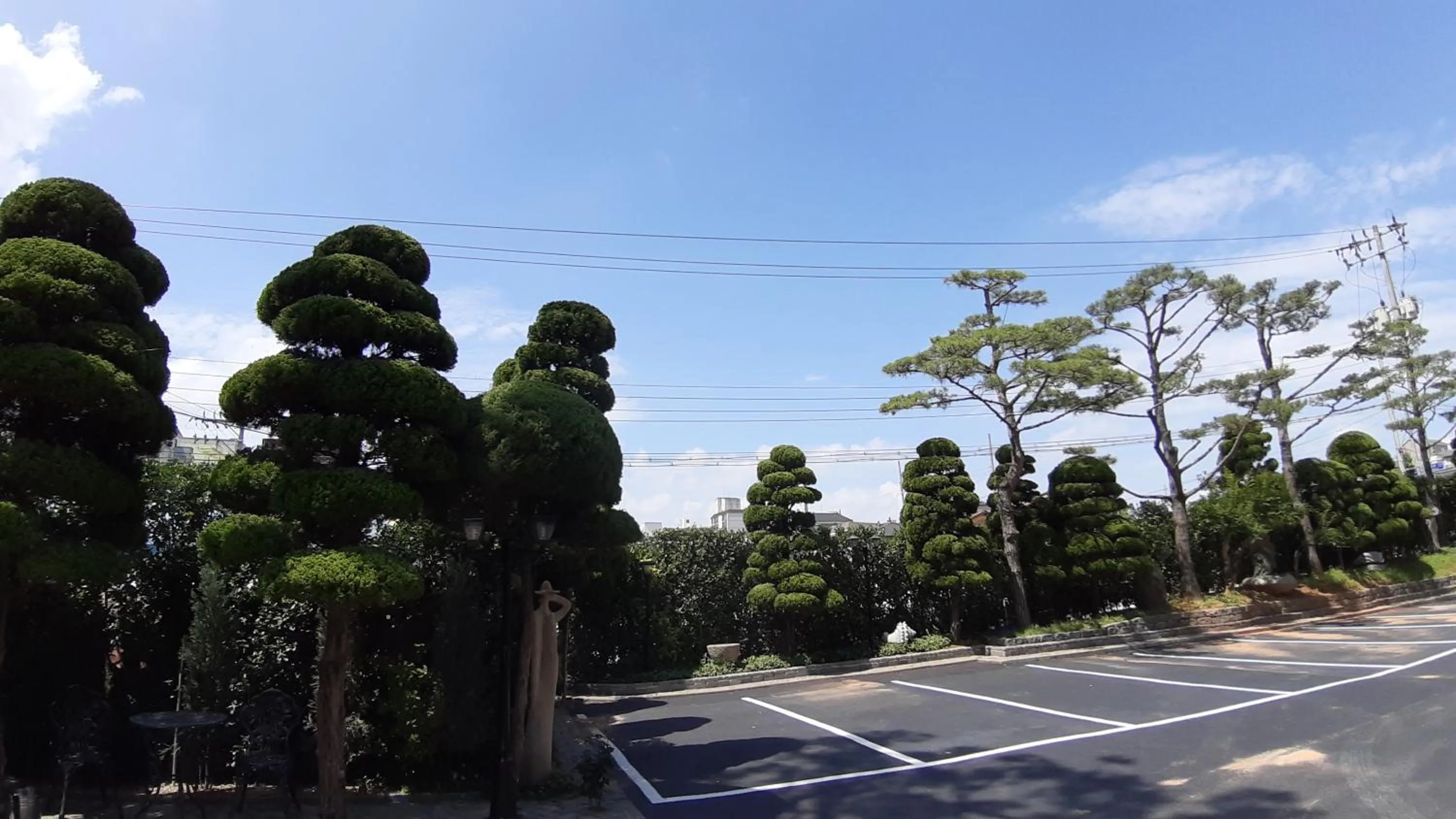 Natural landscape in Seosan Aria Hotel
