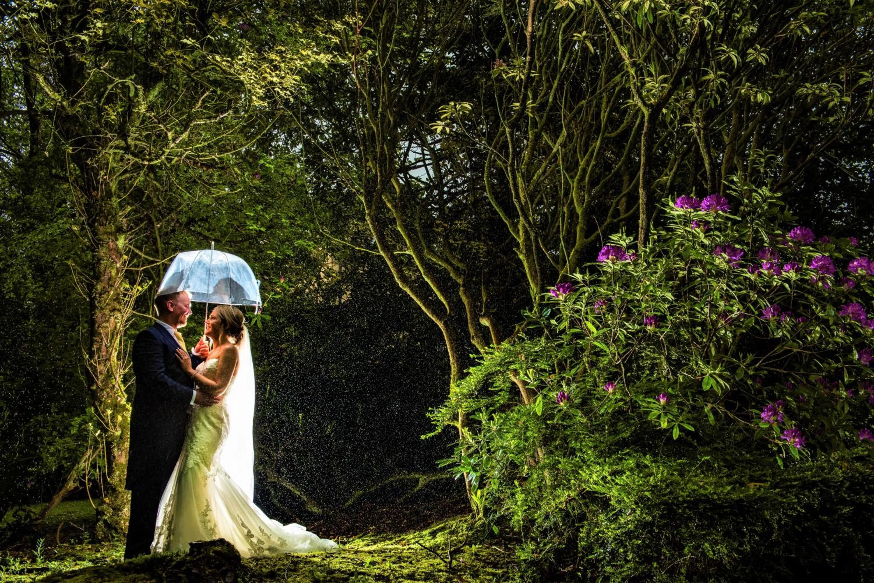 Garden in Astley Bank Hotel