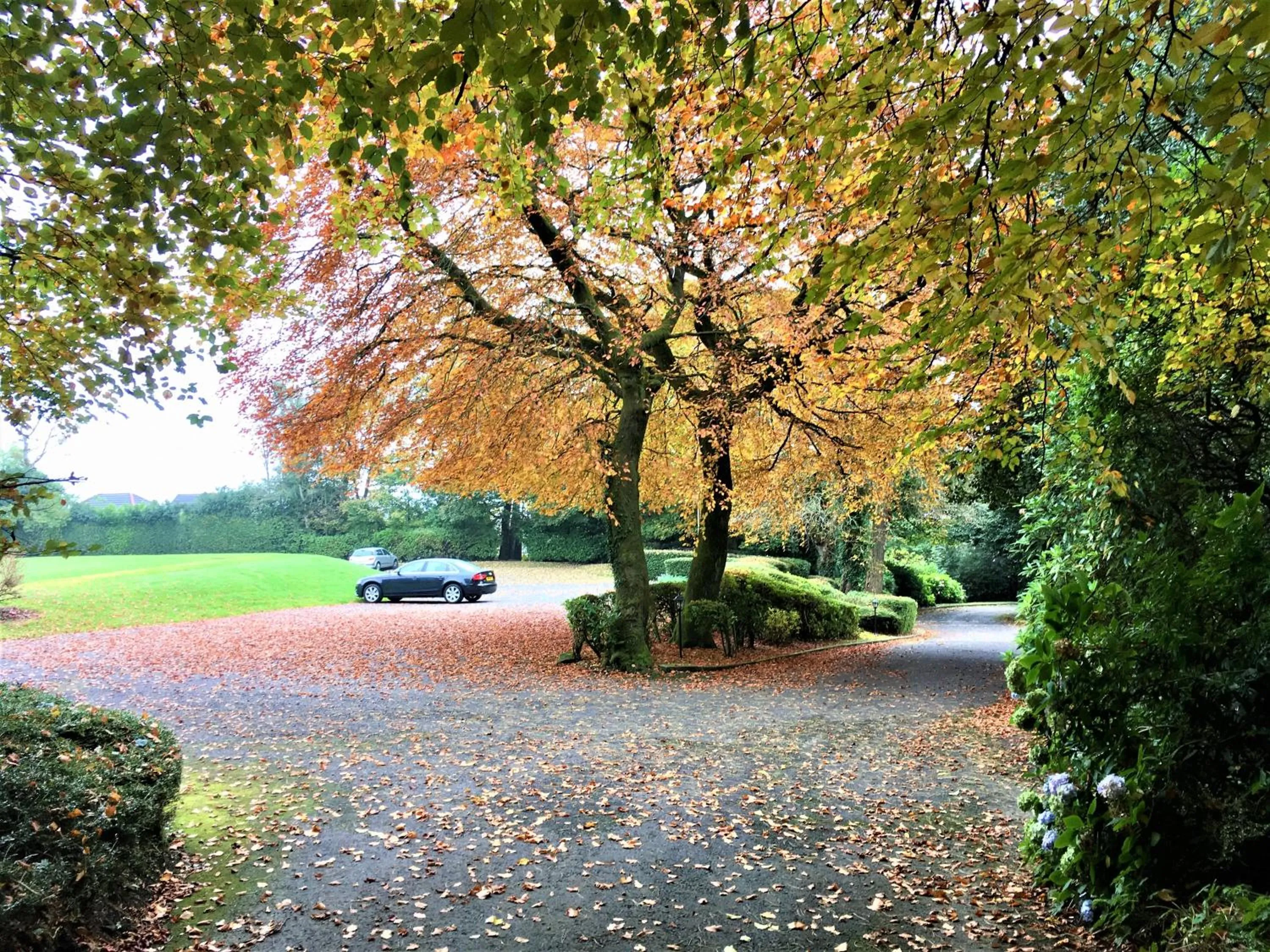 Other in Astley Bank Hotel