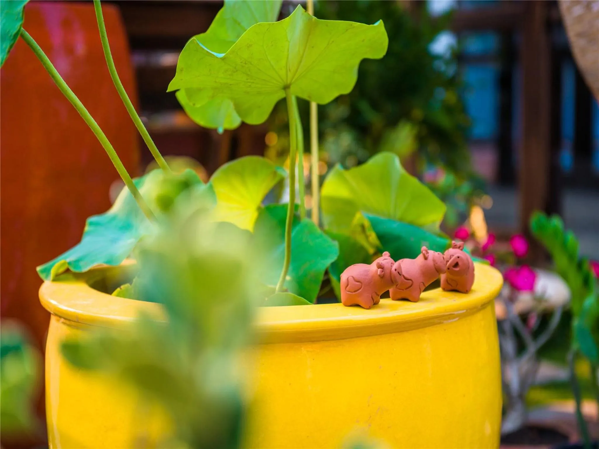 Garden in Hetai Boutique Hotel