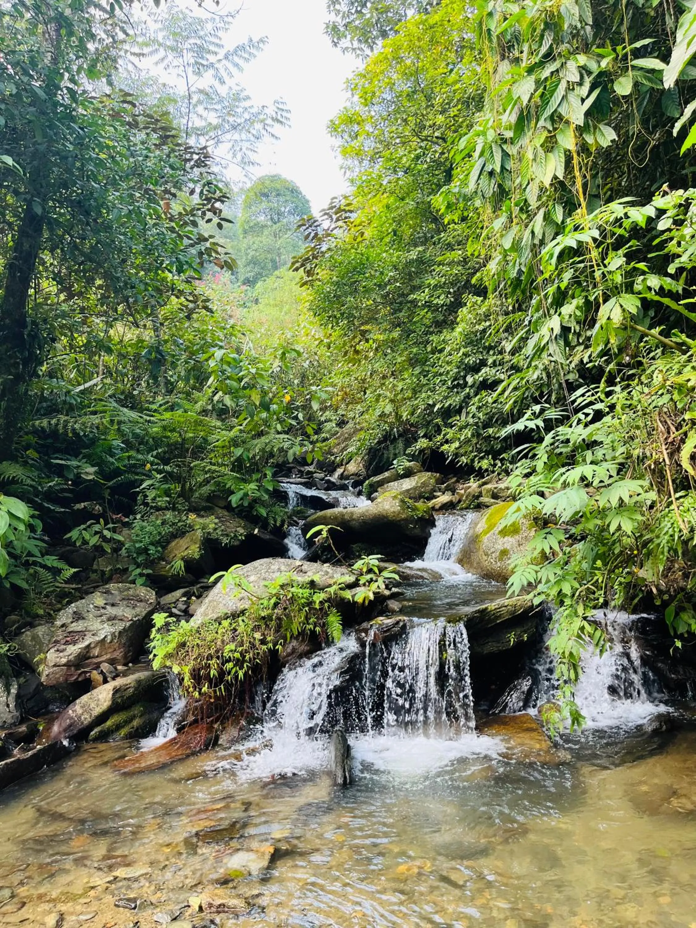 Sapa Paramount Hotel