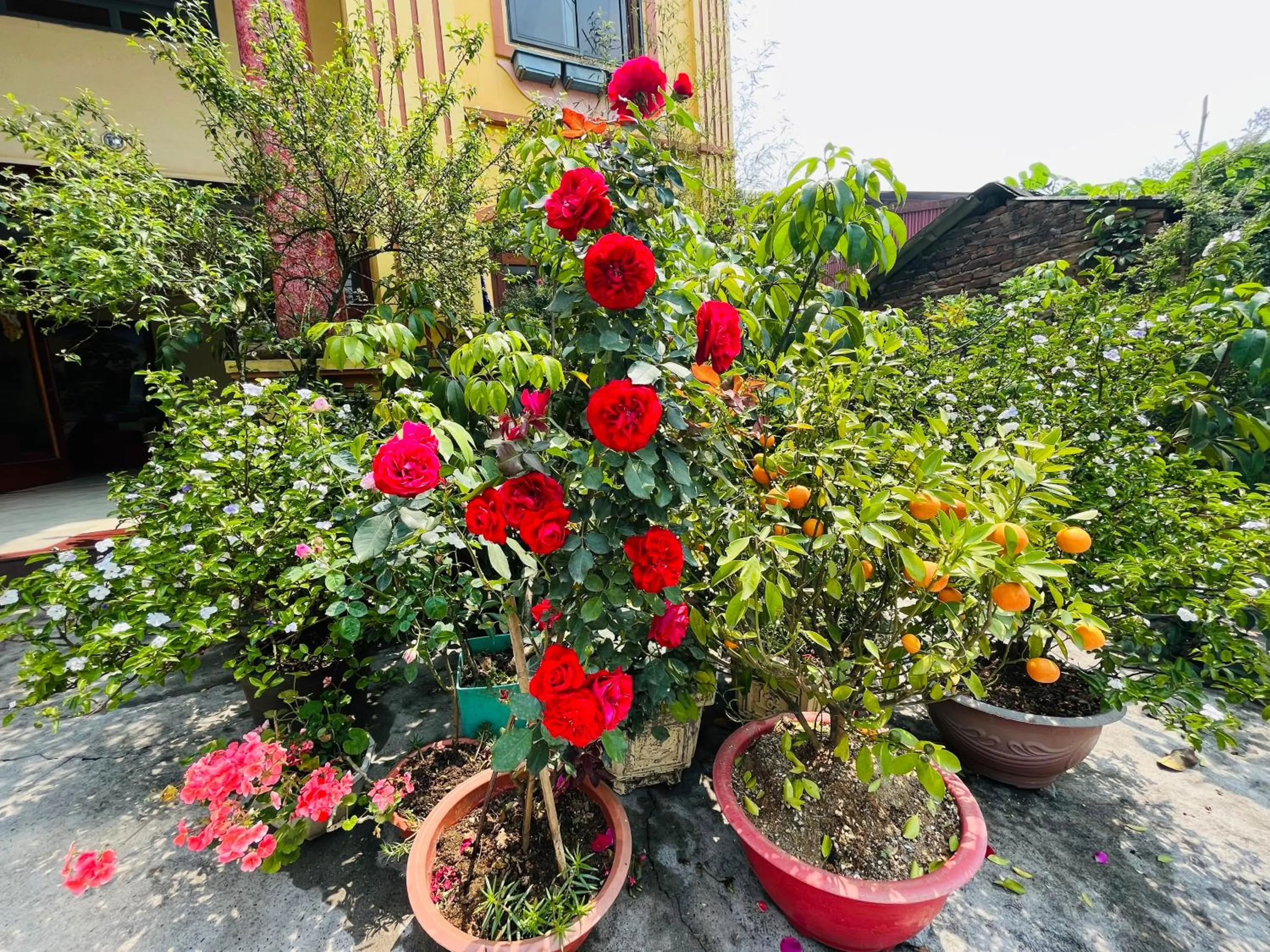 Decorative detail in Sapa Paramount Hotel