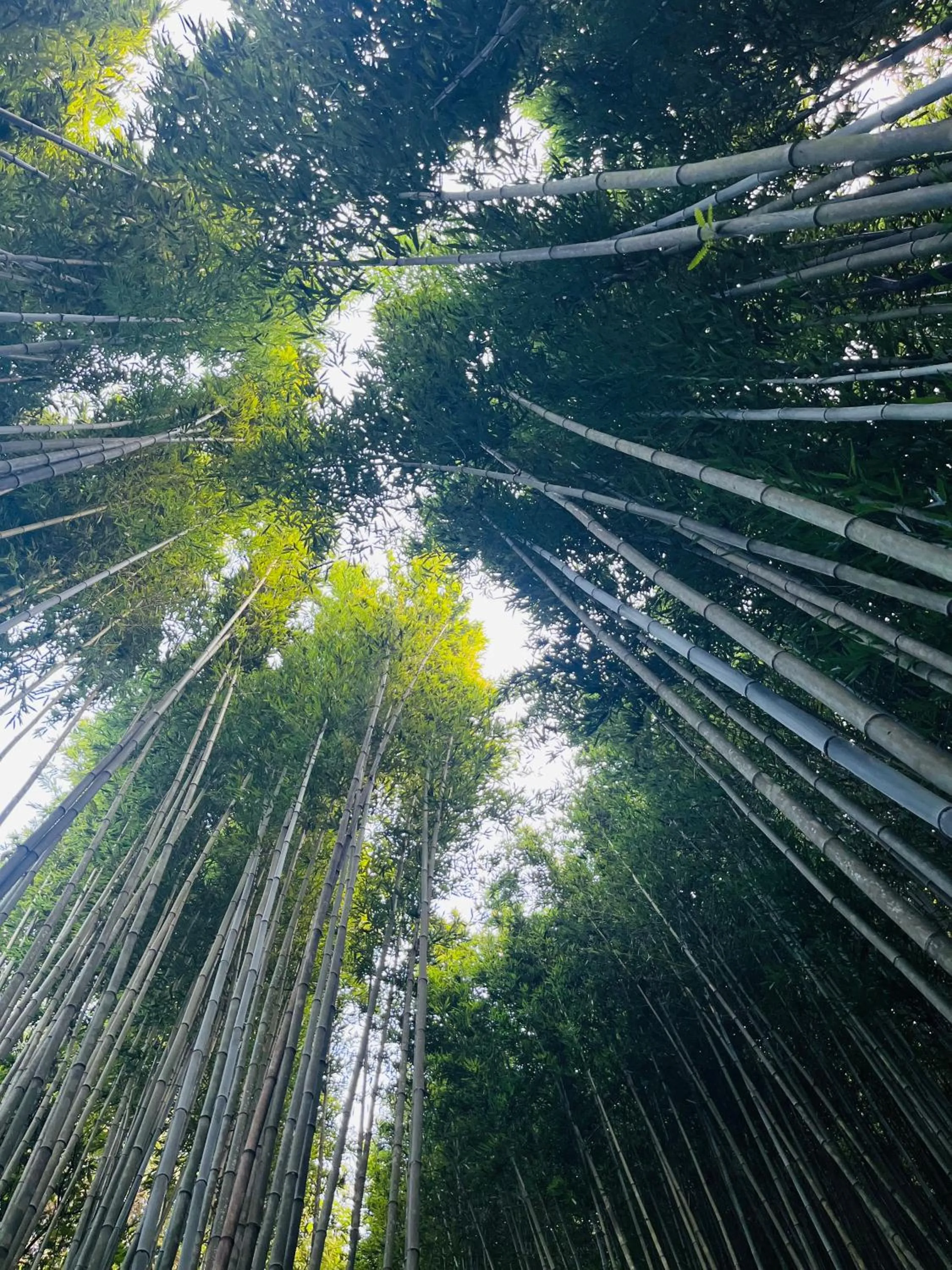 Sapa Paramount Hotel