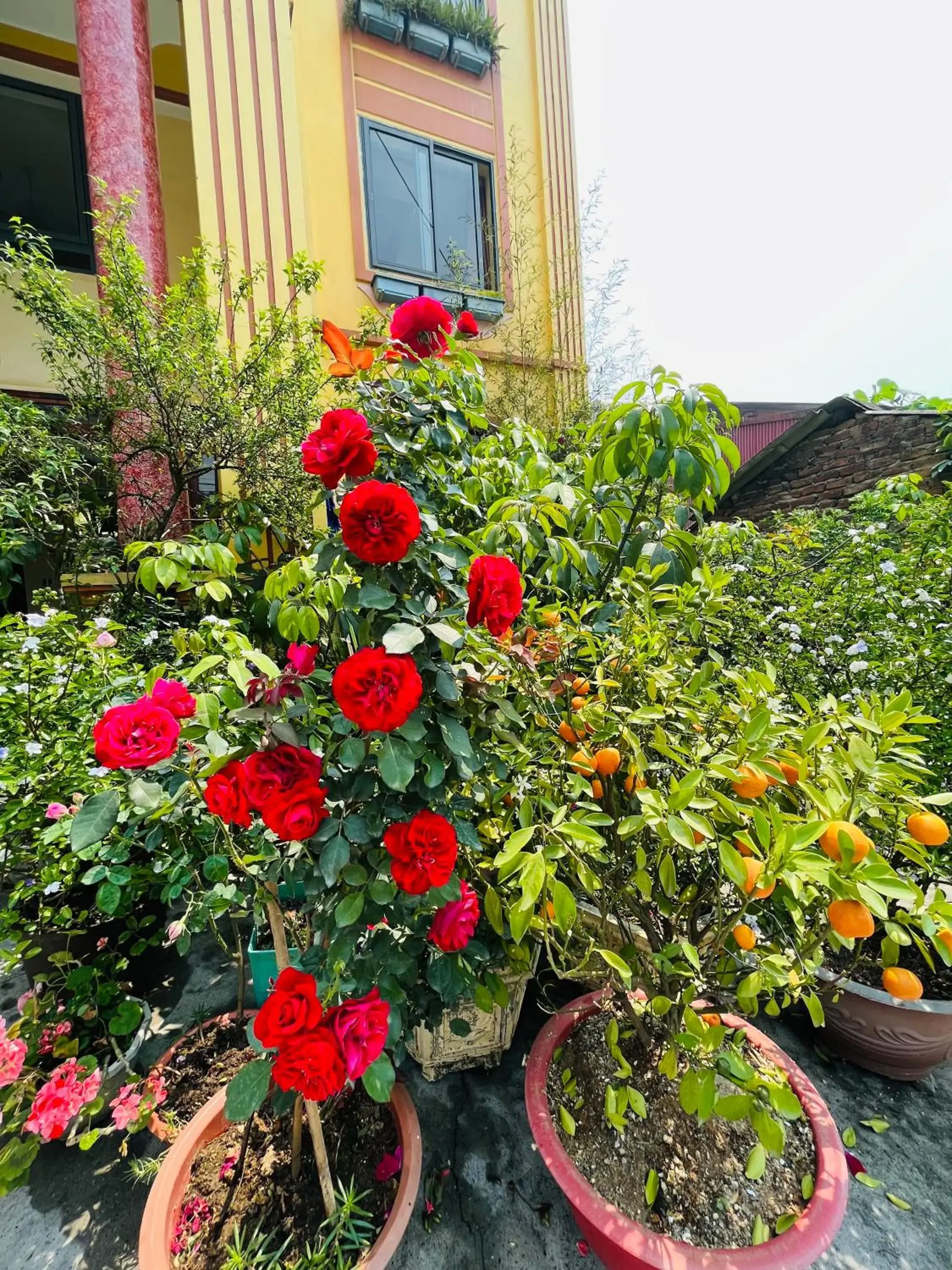 Family Room in Sapa Paramount Hotel Family Room in Sapa Paramount Hotel