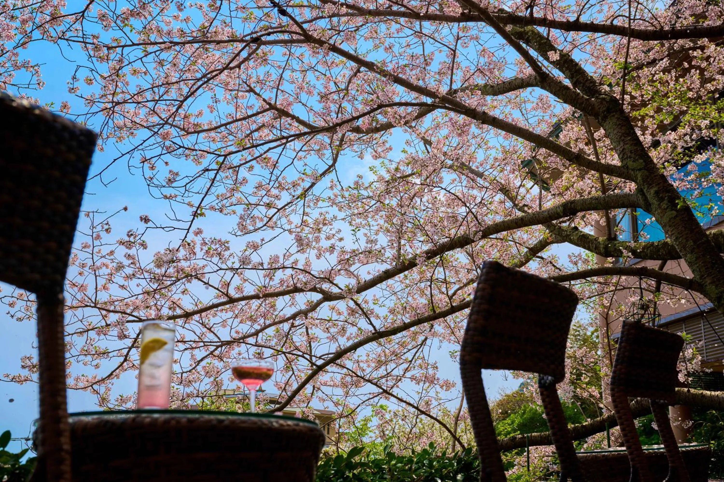 Balcony/Terrace in Kissho Caren