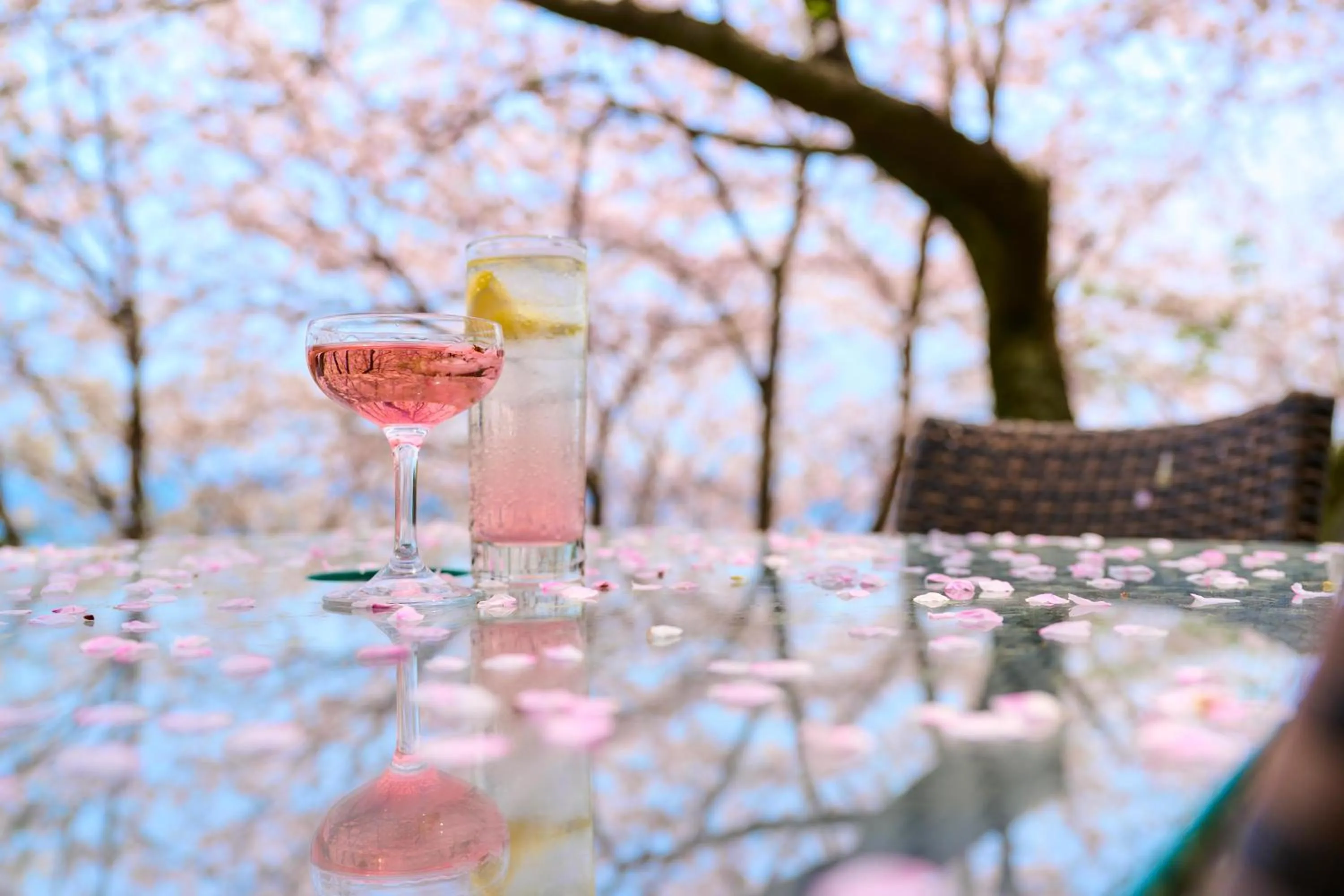 Balcony/Terrace in Kissho Caren