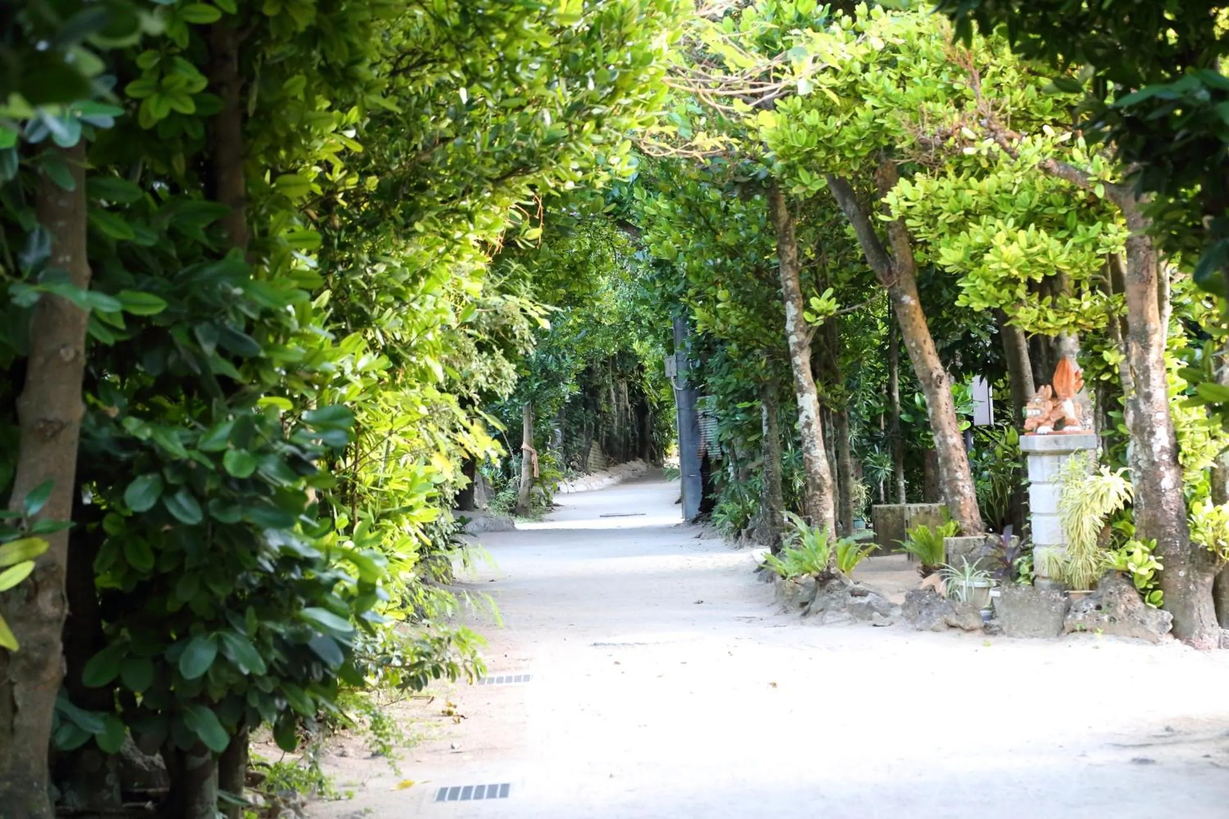Nearby landmark in Tabinoteitaku Okinawa Bise HOMANN CONCEPT