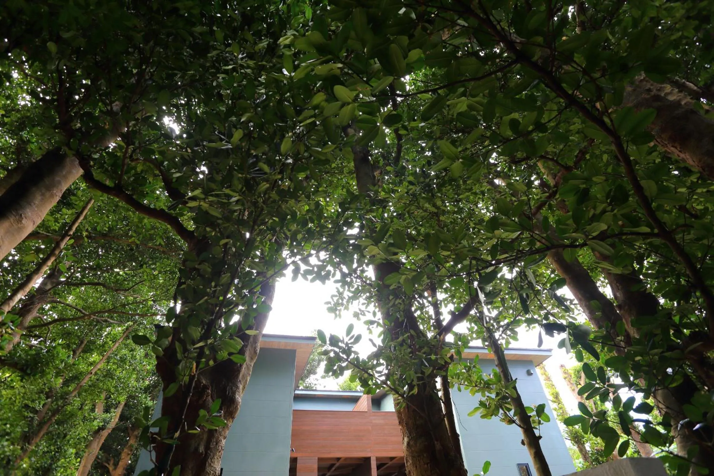 Property building in Tabinoteitaku Okinawa Bise HOMANN CONCEPT