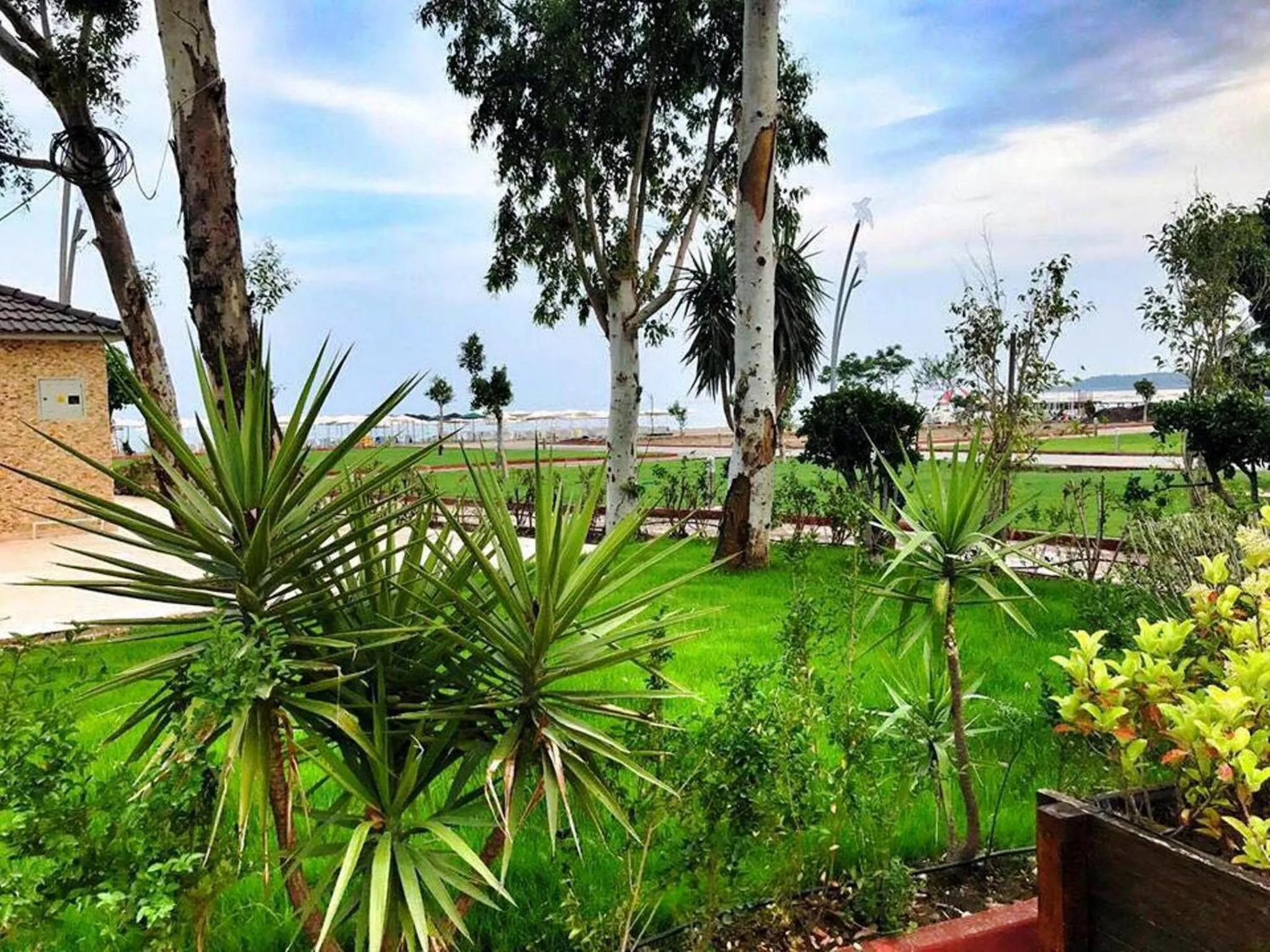 Beach in Agva Apart Otel