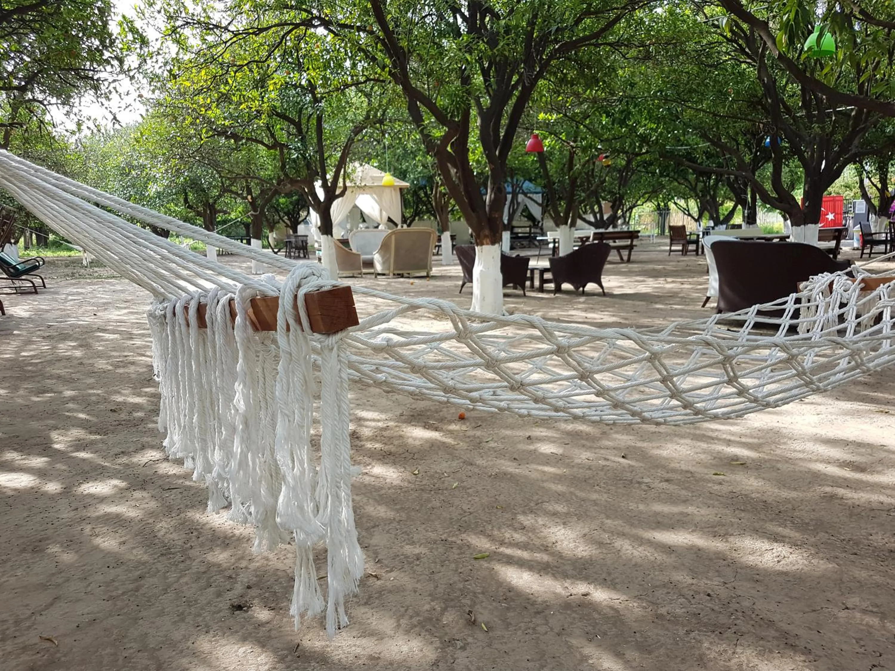 Garden in Agva Apart Otel