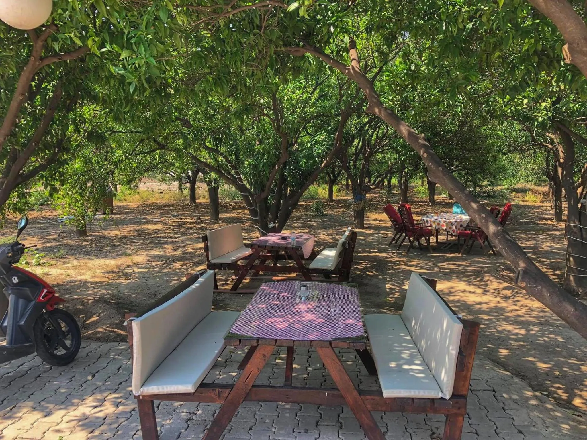 BBQ facilities in Agva Apart Otel