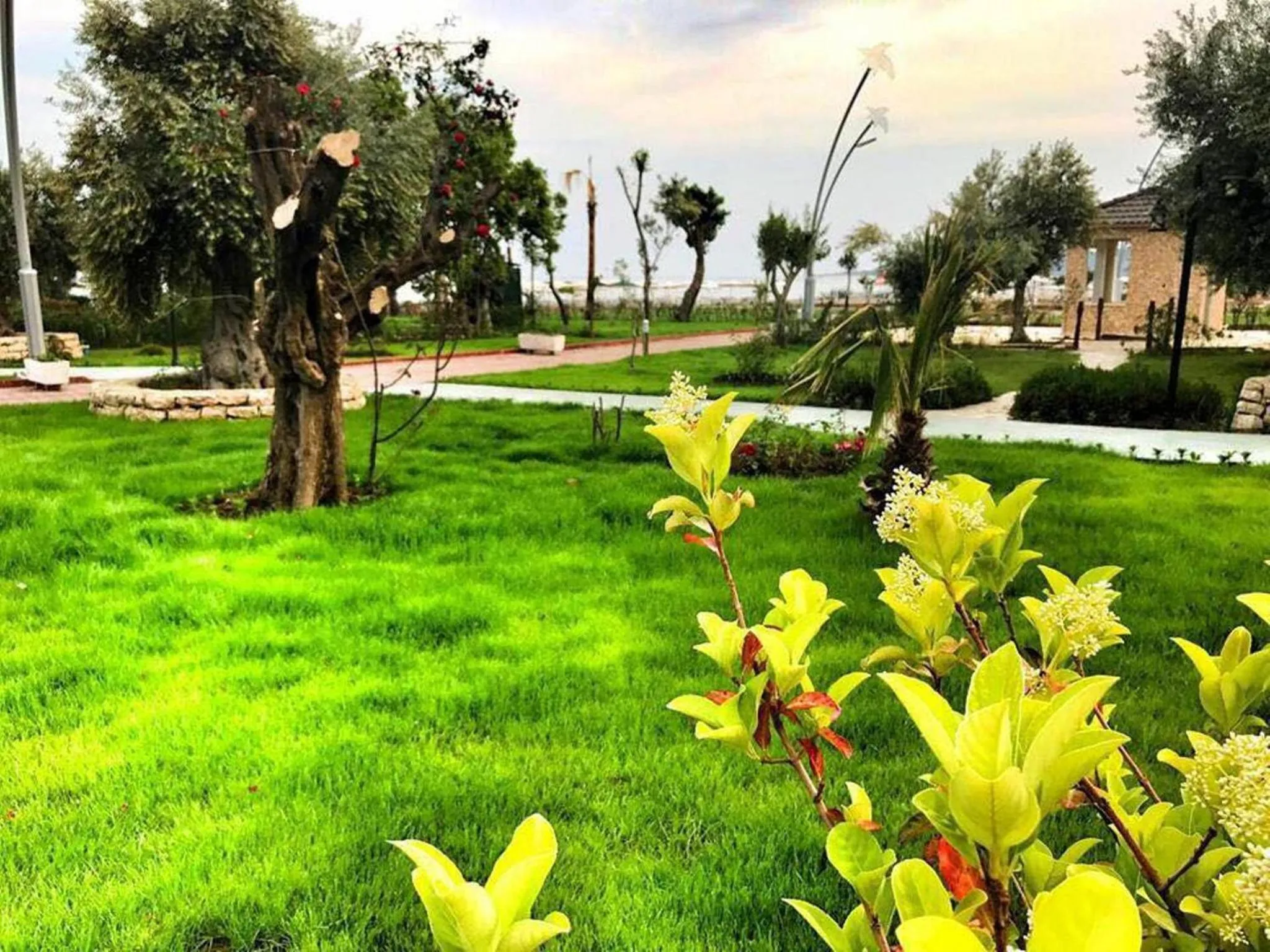 Beach in Agva Apart Otel