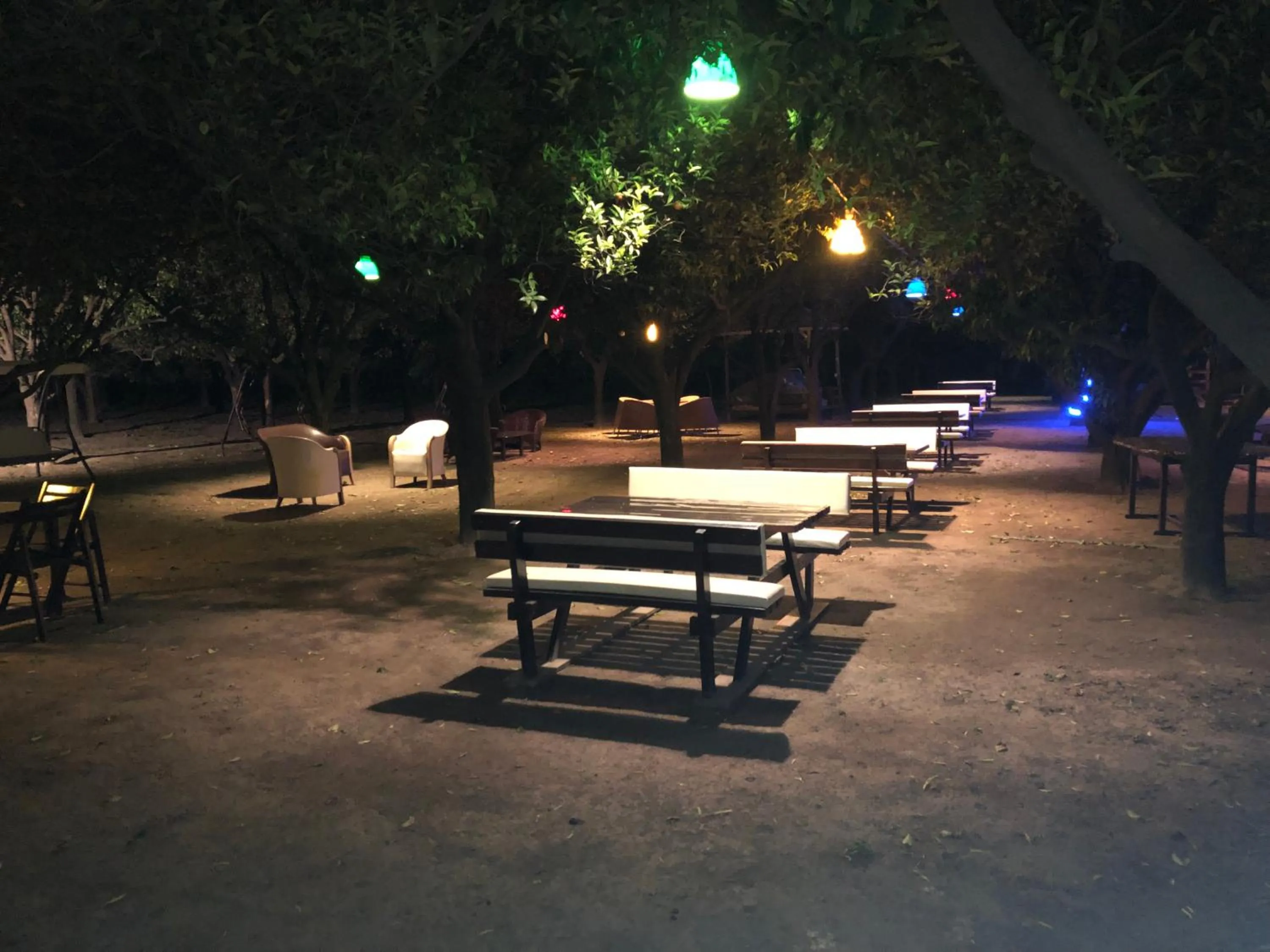 Evening entertainment in Agva Apart Otel