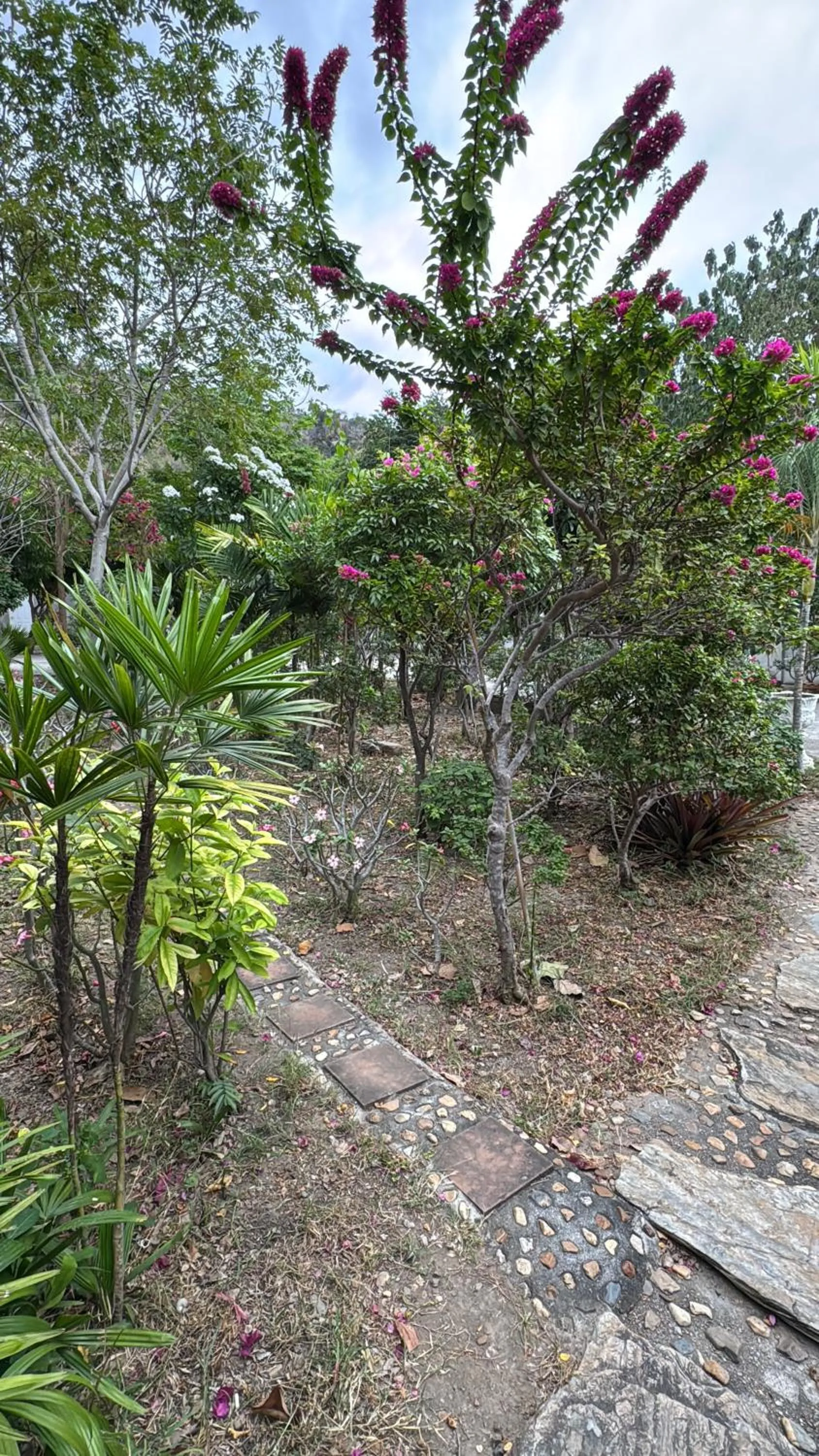 View (from property/room) in Phurang Hill Resort