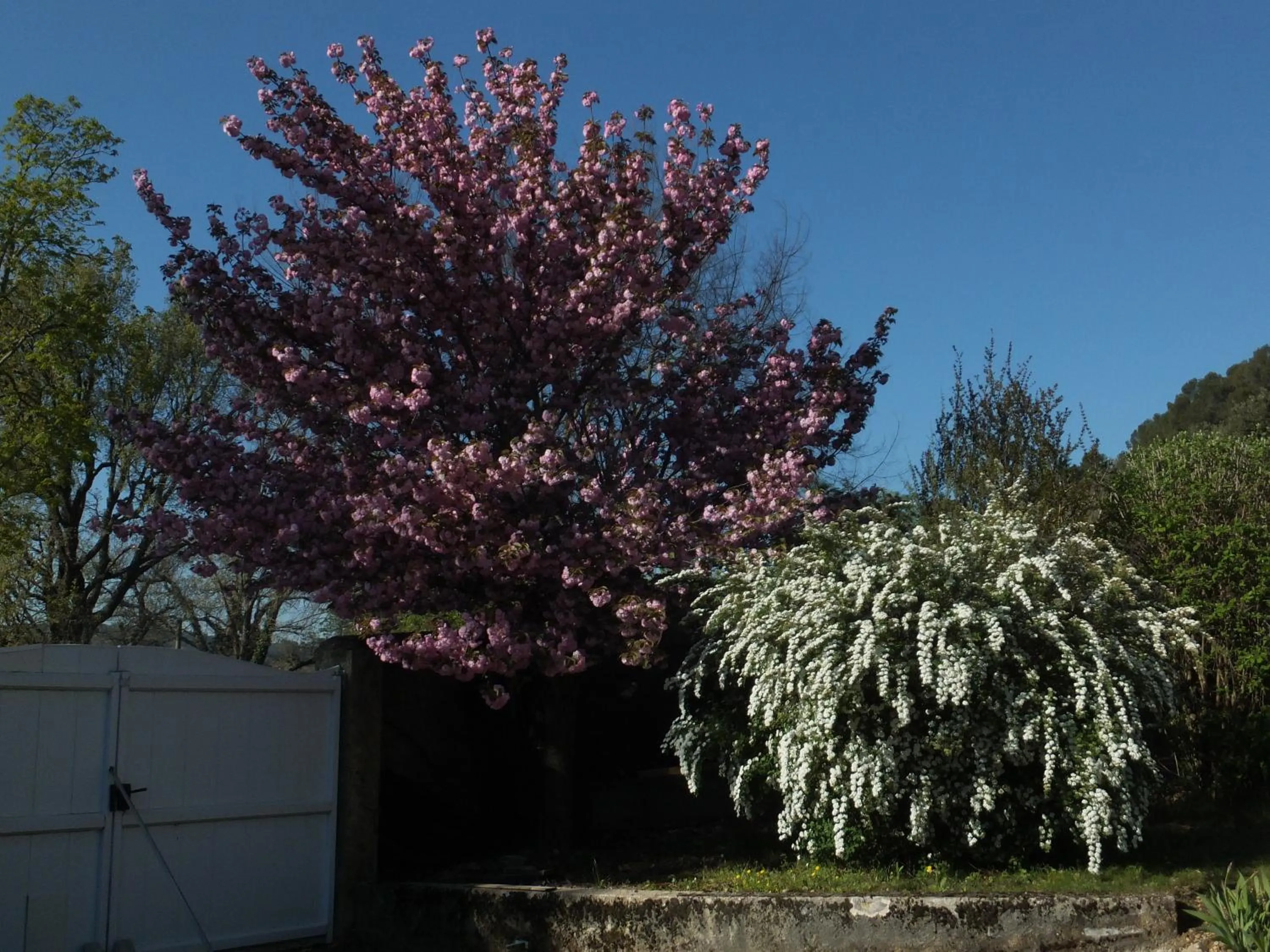 Garden in Bastide du Bonheur Saint Donat