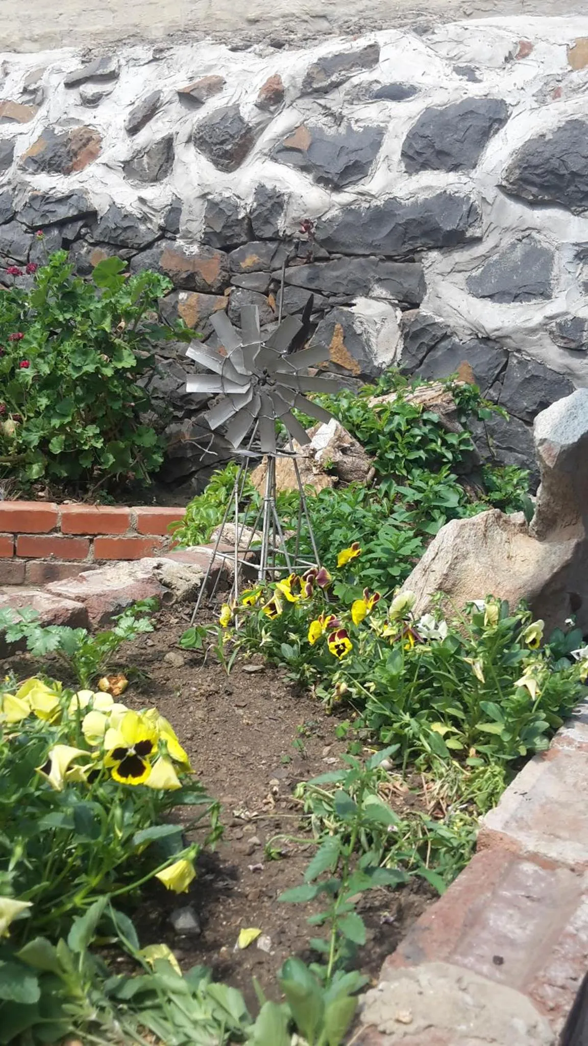 Garden in Lavender Lane