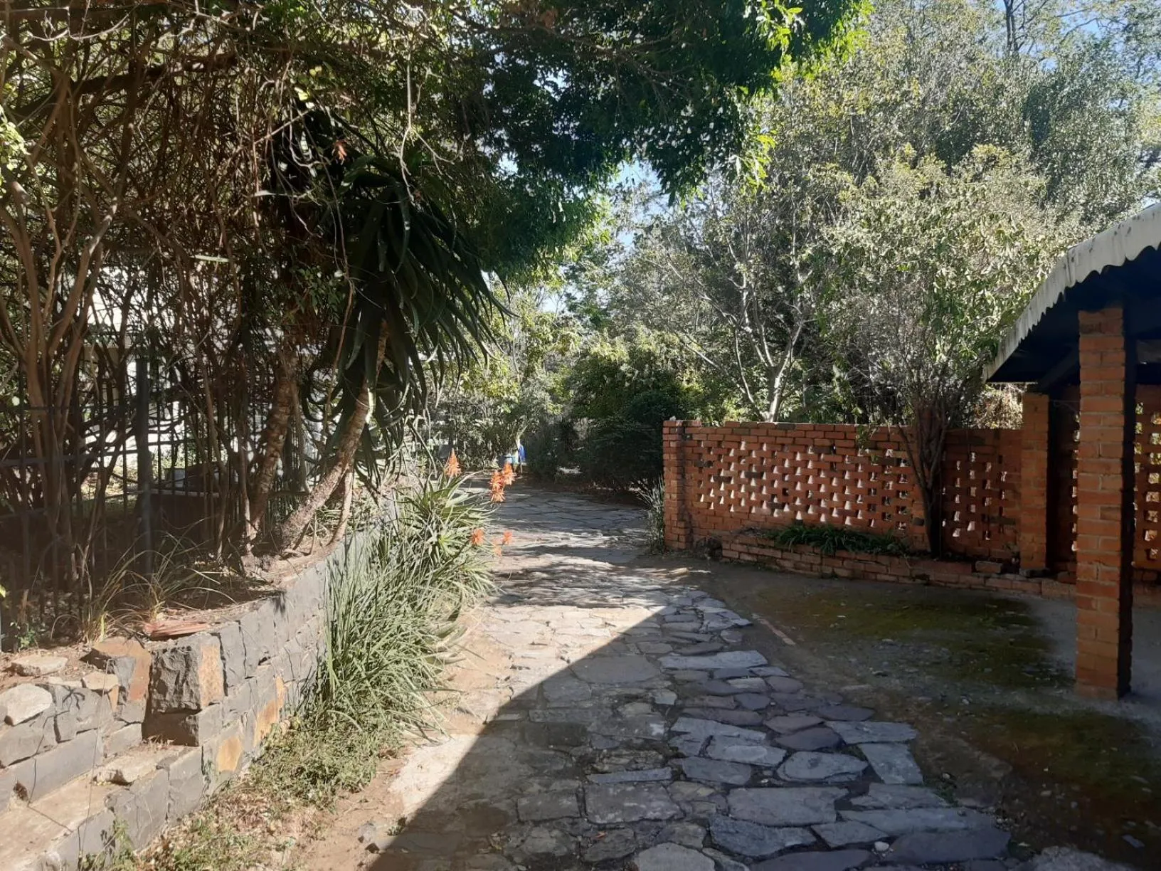 Garden view in Lavender Lane