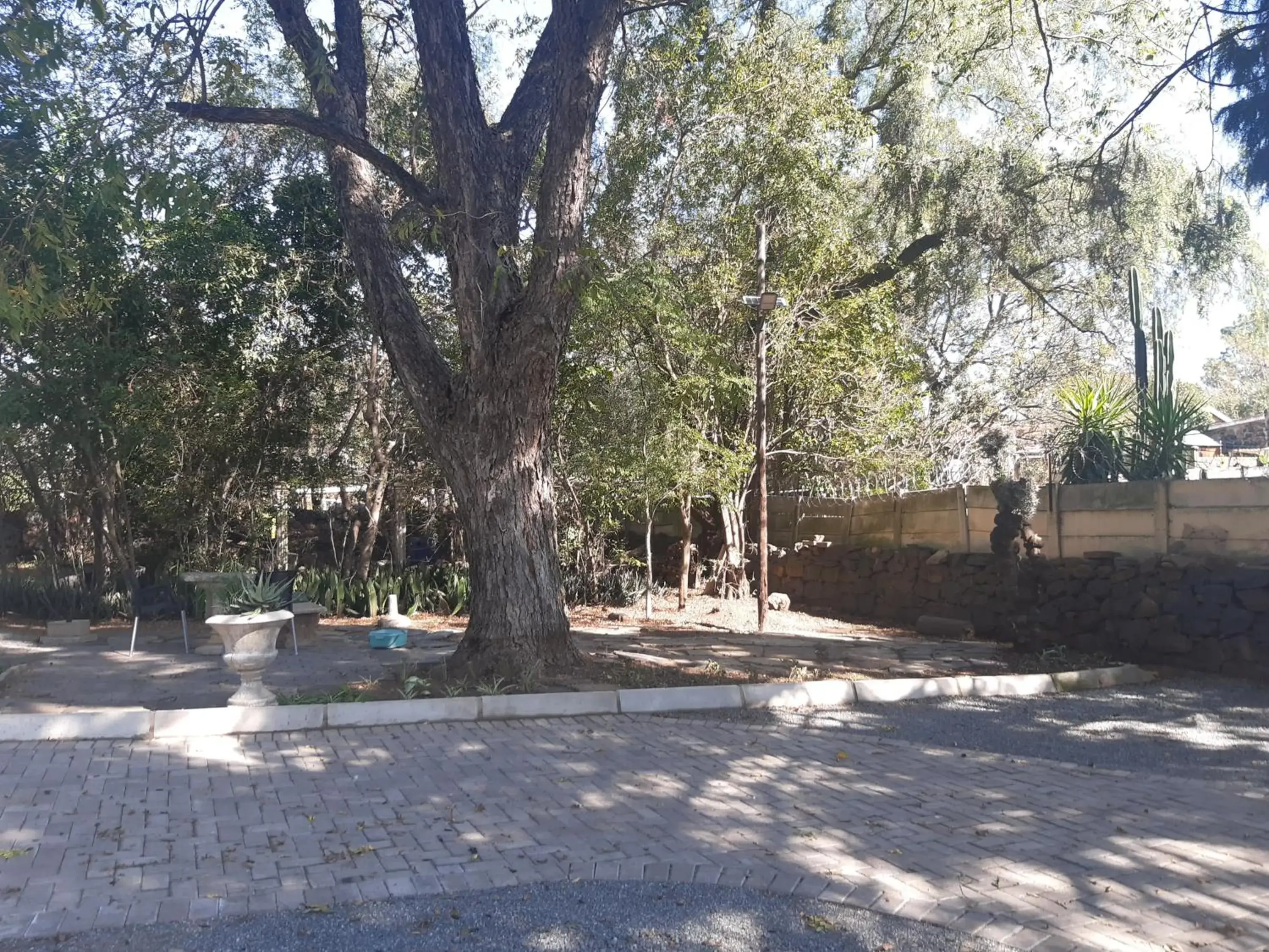 Queen Room with Shared Bathroom in Lavender Lane Queen Room with Shared Bathroom in Lavender Lane