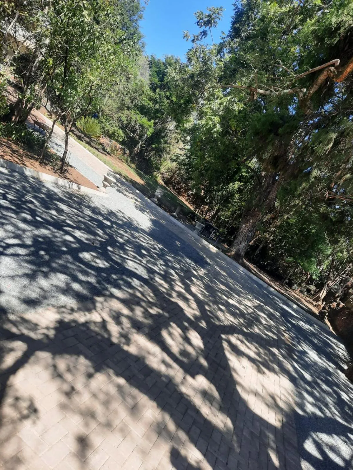 Day in Lavender Lane