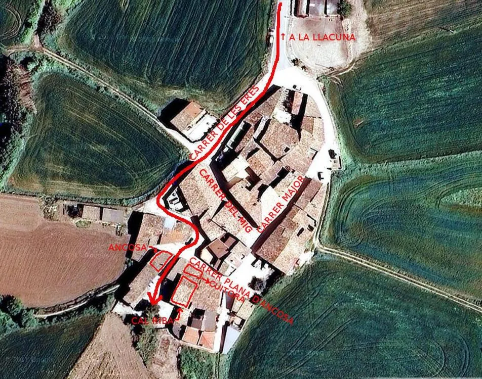 Bird's eye view in Cal Riba