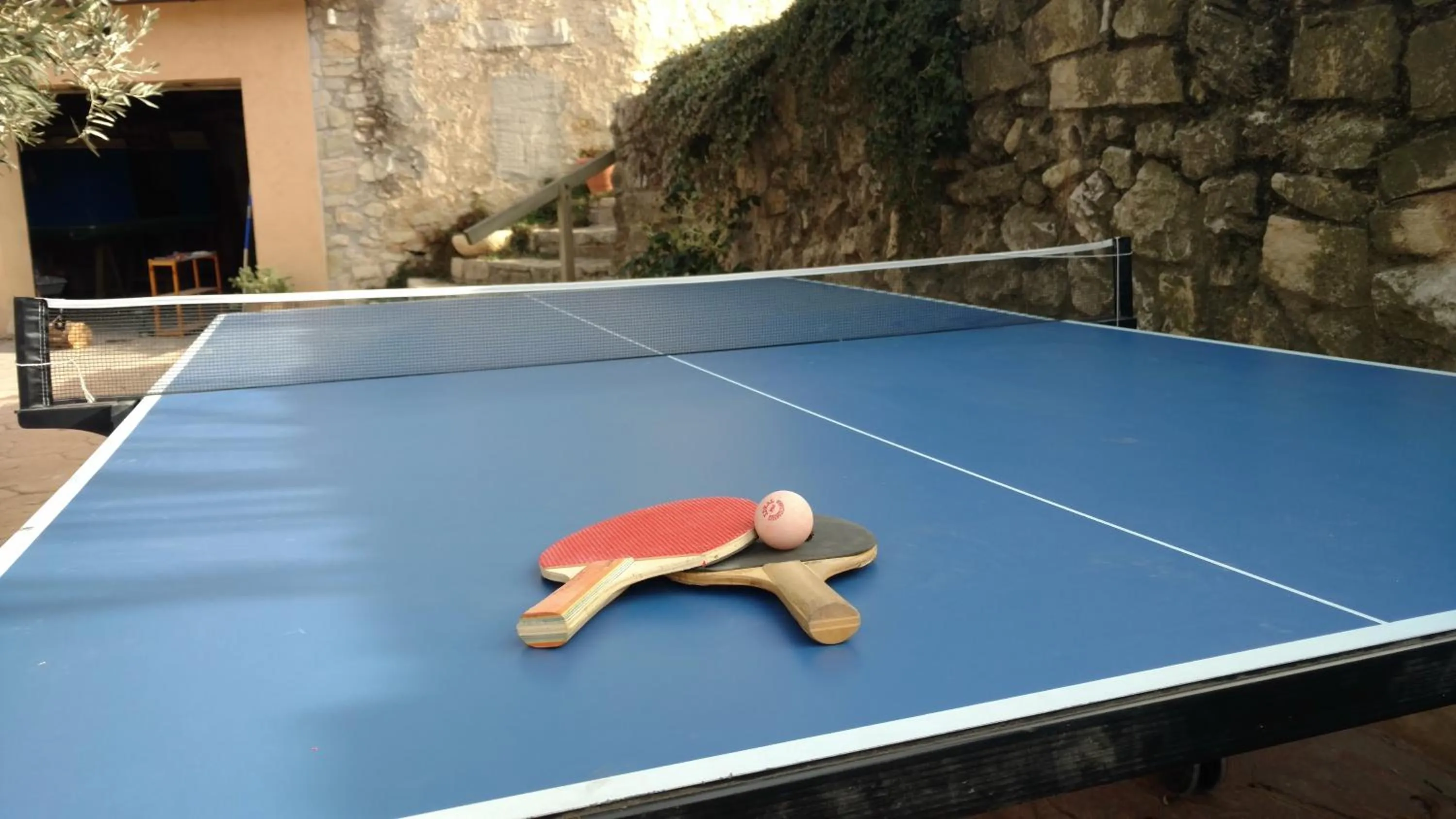 Table tennis in Cal Riba