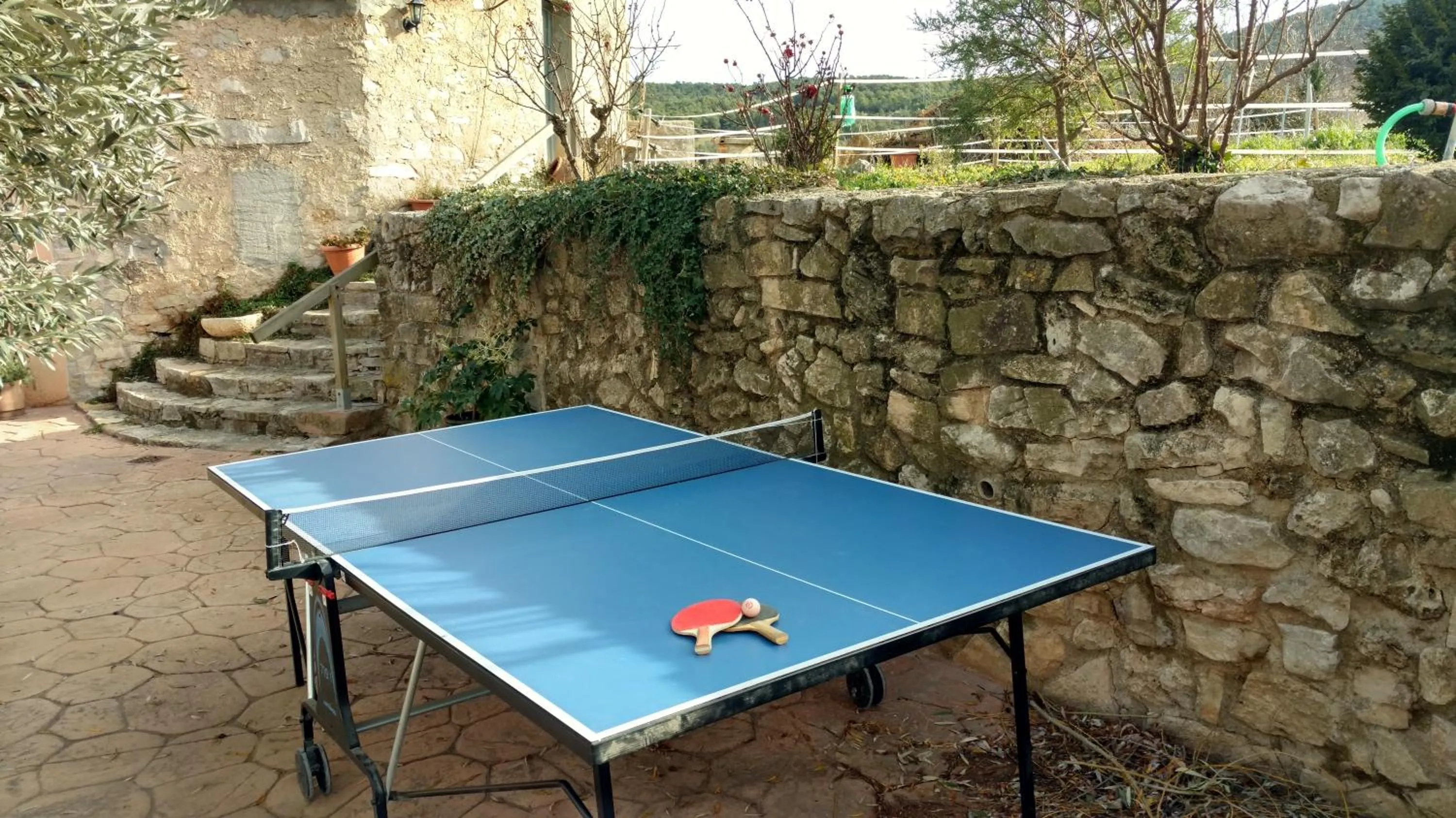 Table tennis in Cal Riba