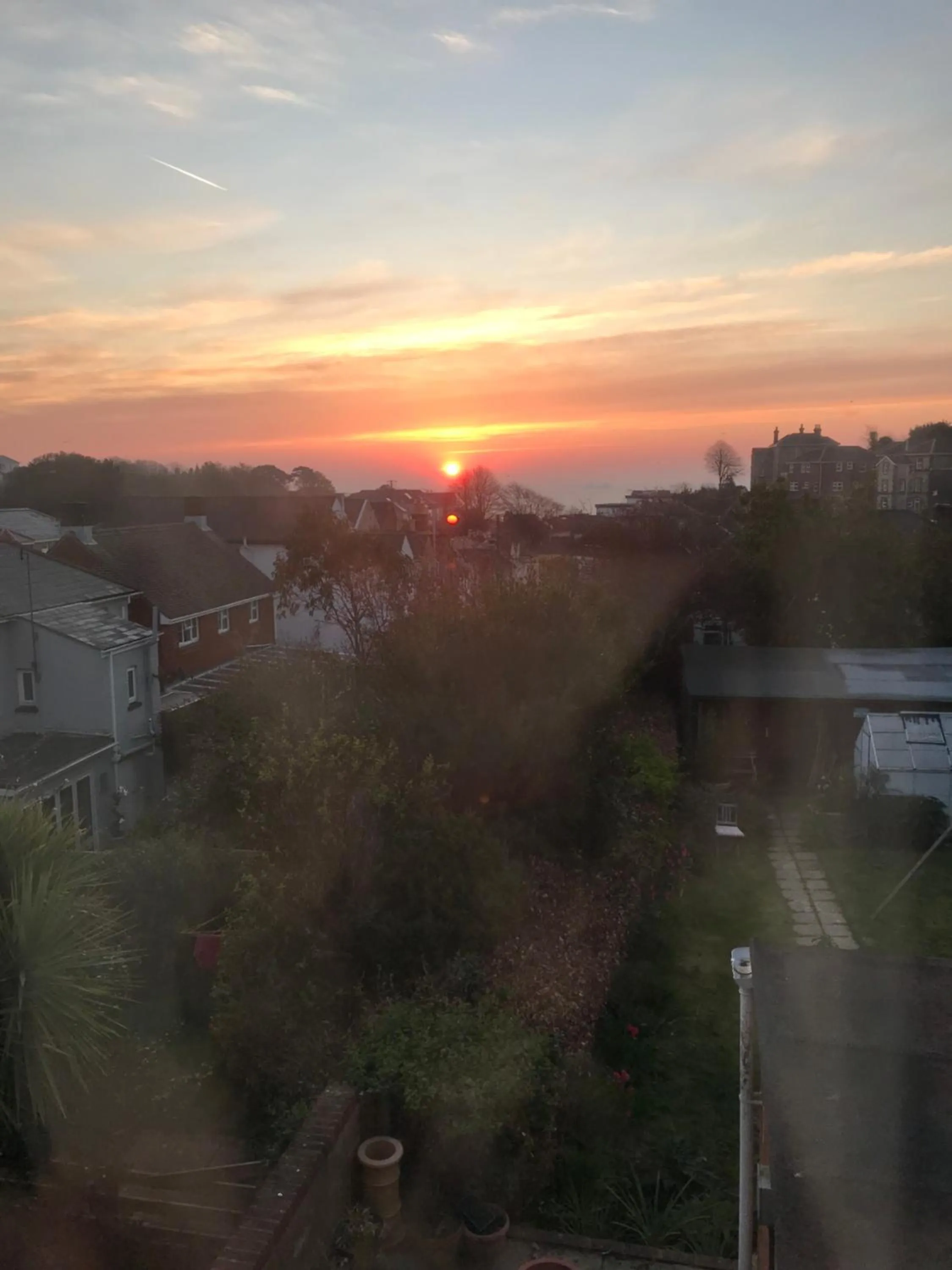 Number 29 - Only Adults