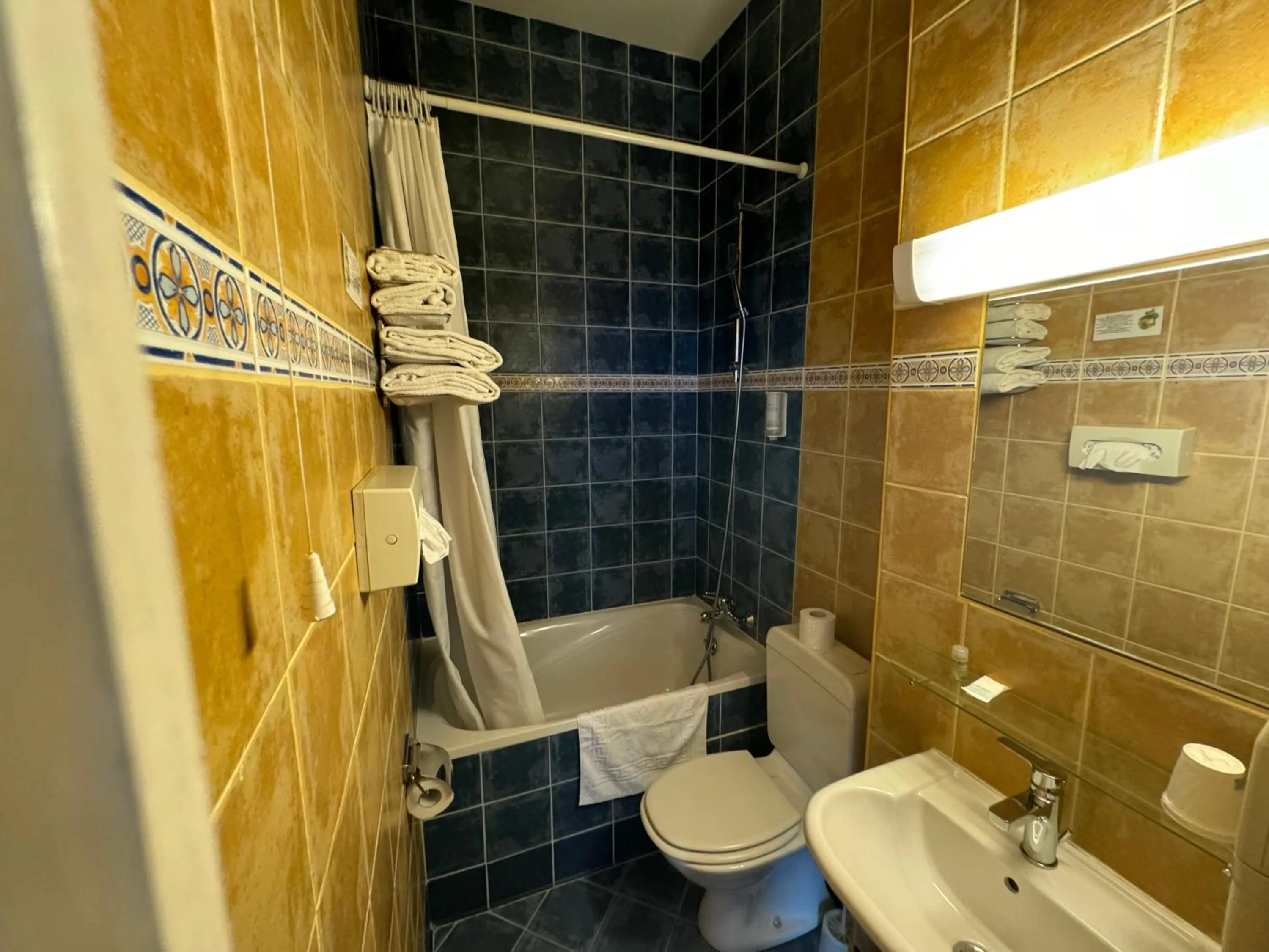 Toilet in Hôtel Bosquet Pau Centre - Self Check In Budget Hotel