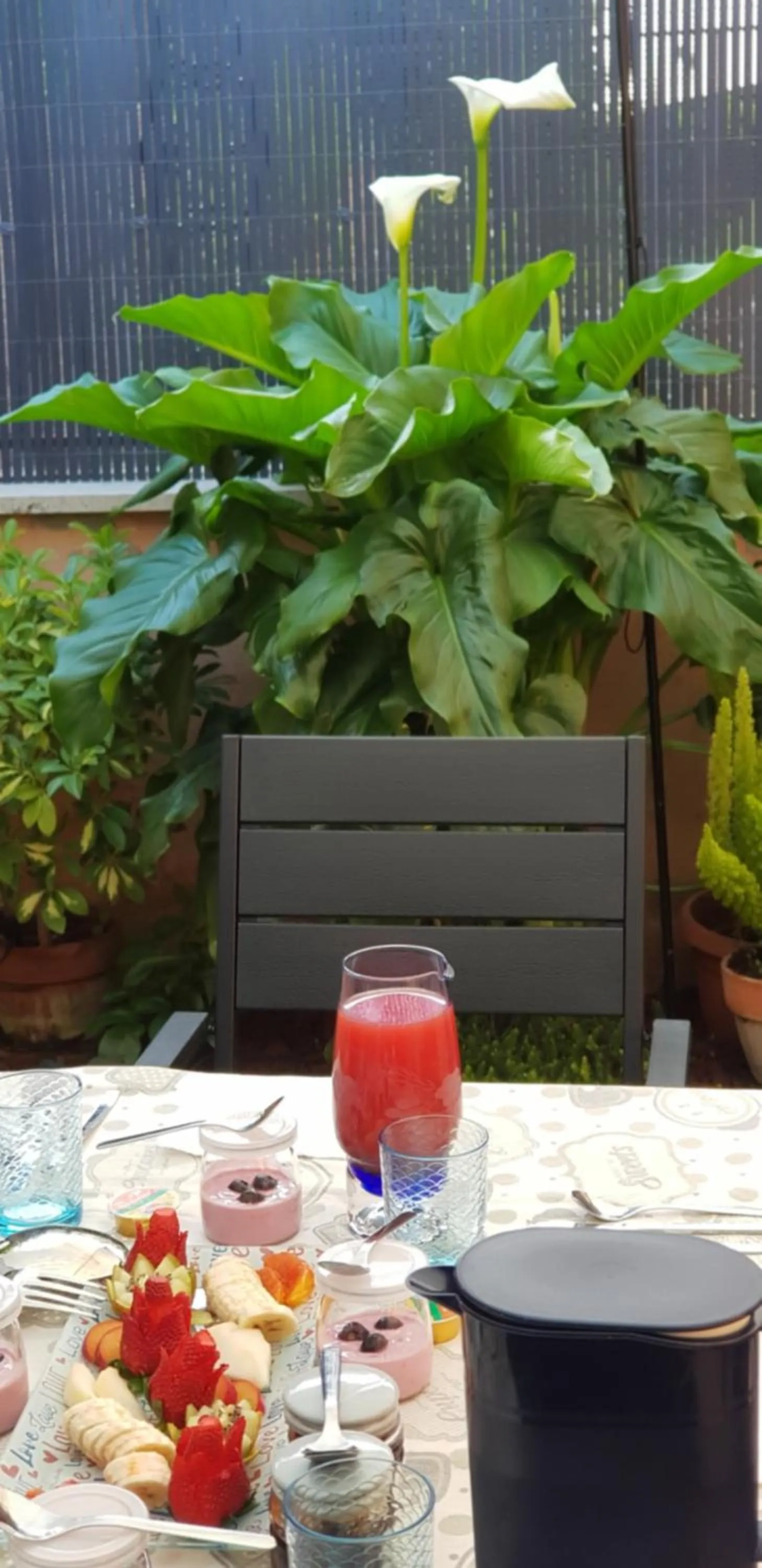 Garden in B&B Vista su Roma