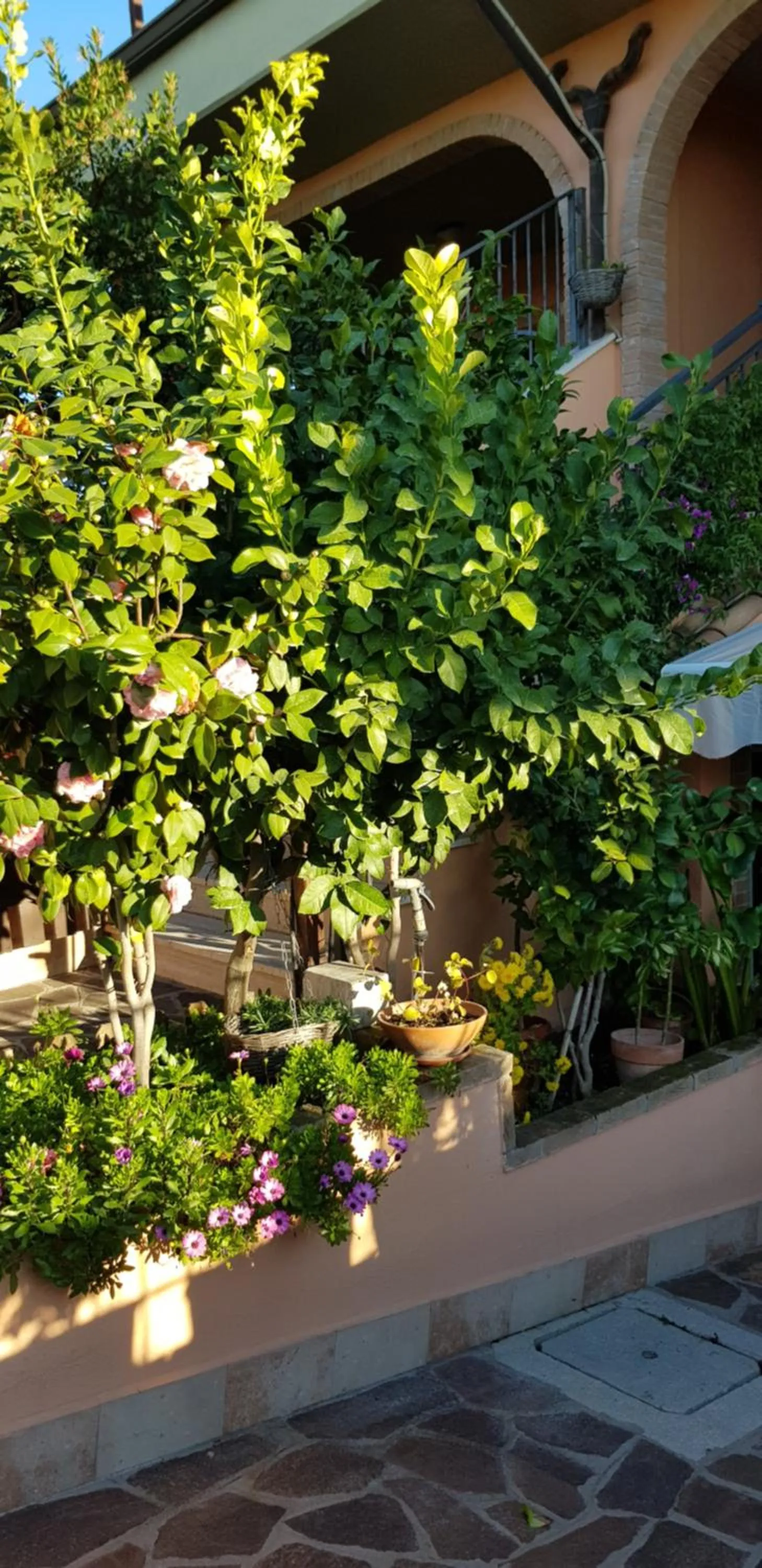 On site in B&B Vista su Roma