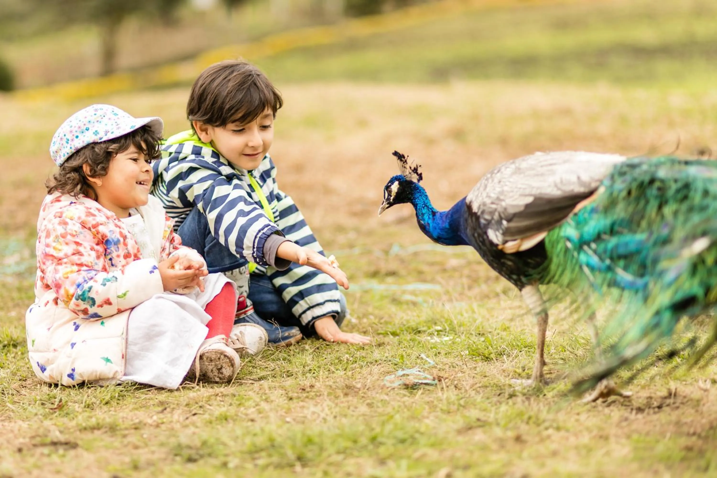 children, Family in Hotel Campestre La Periquera