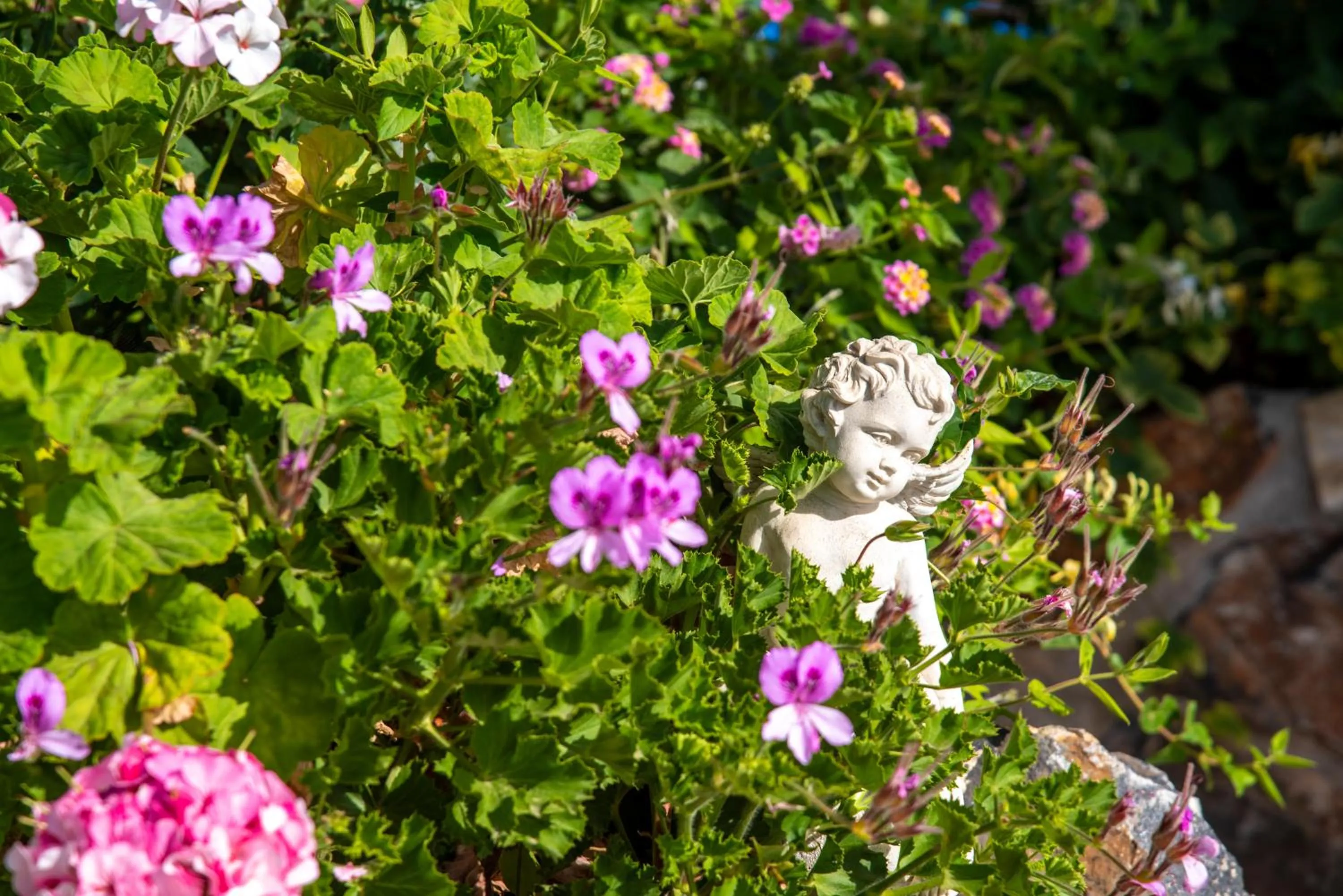 Garden in Elounda Heights (Adults Only)