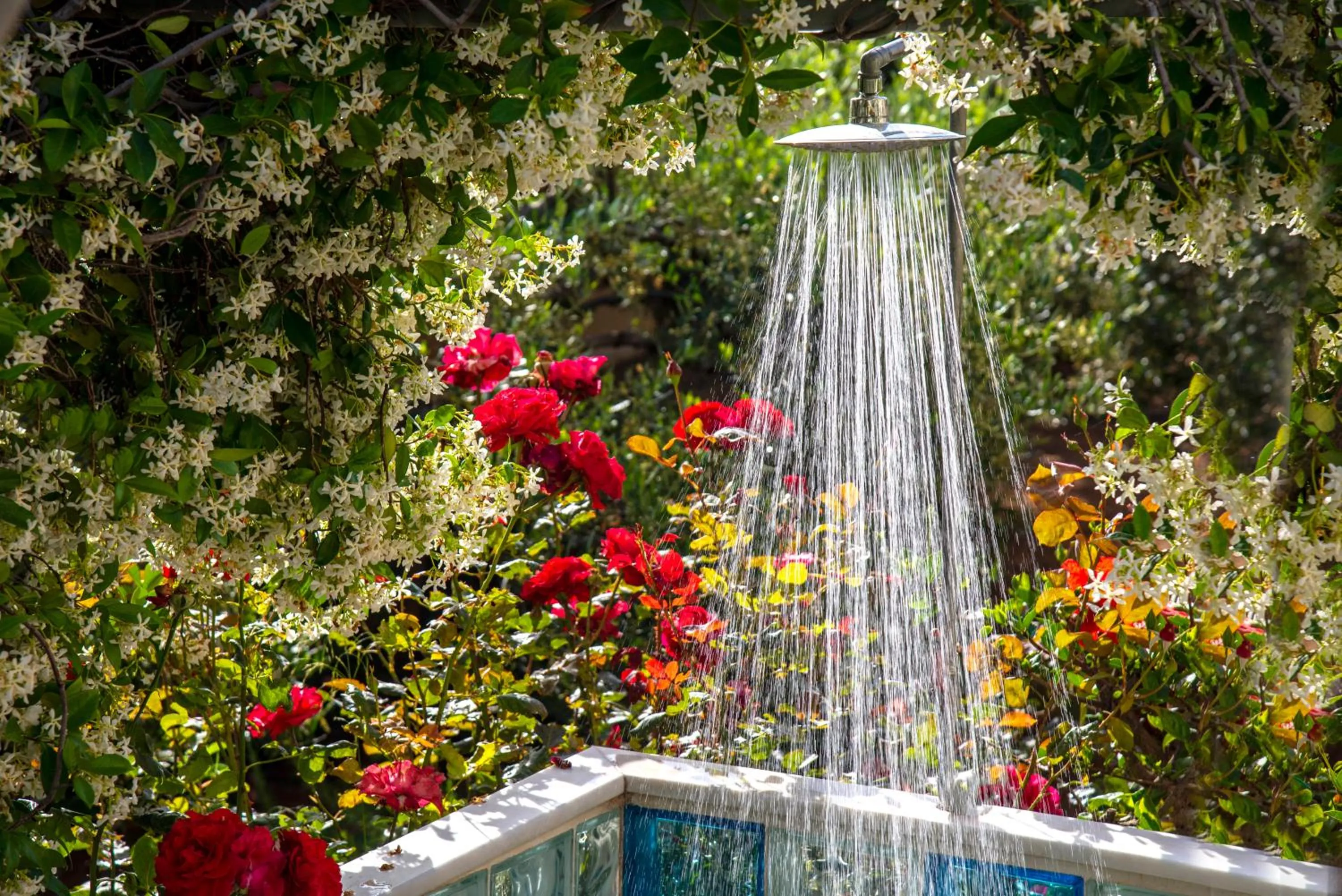 Garden in Elounda Heights (Adults Only)