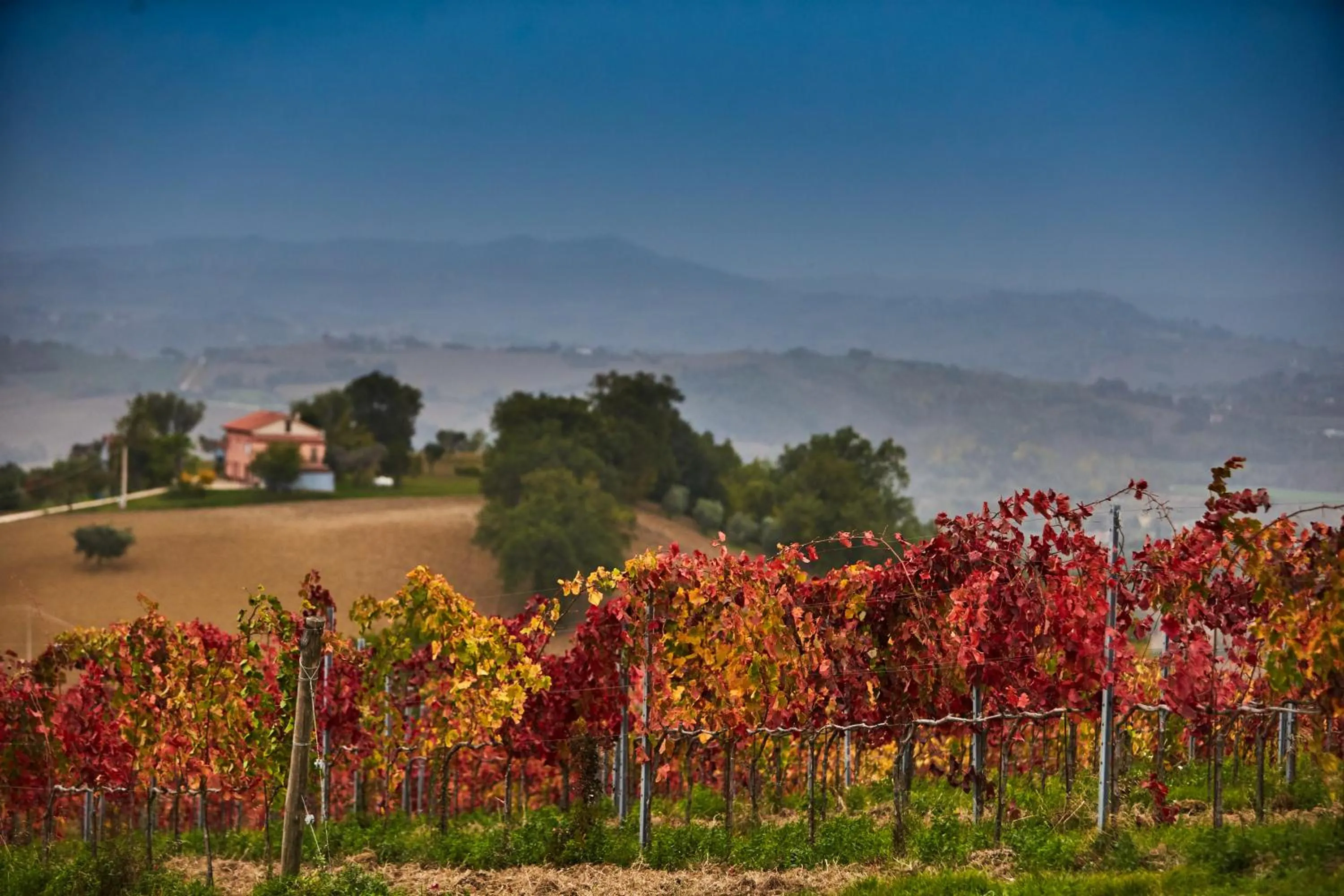 Spring in Officina del Sole