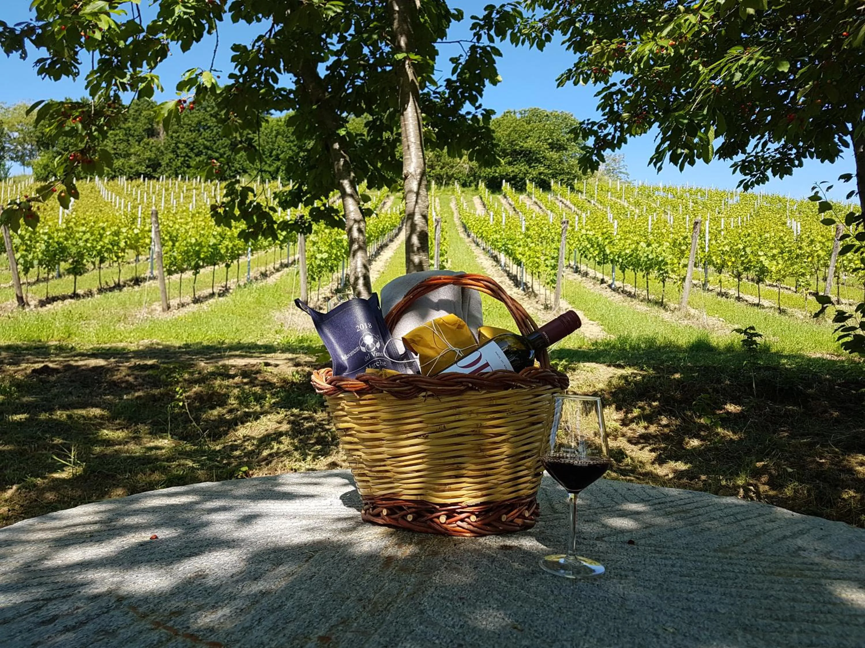 Spring in Officina del Sole