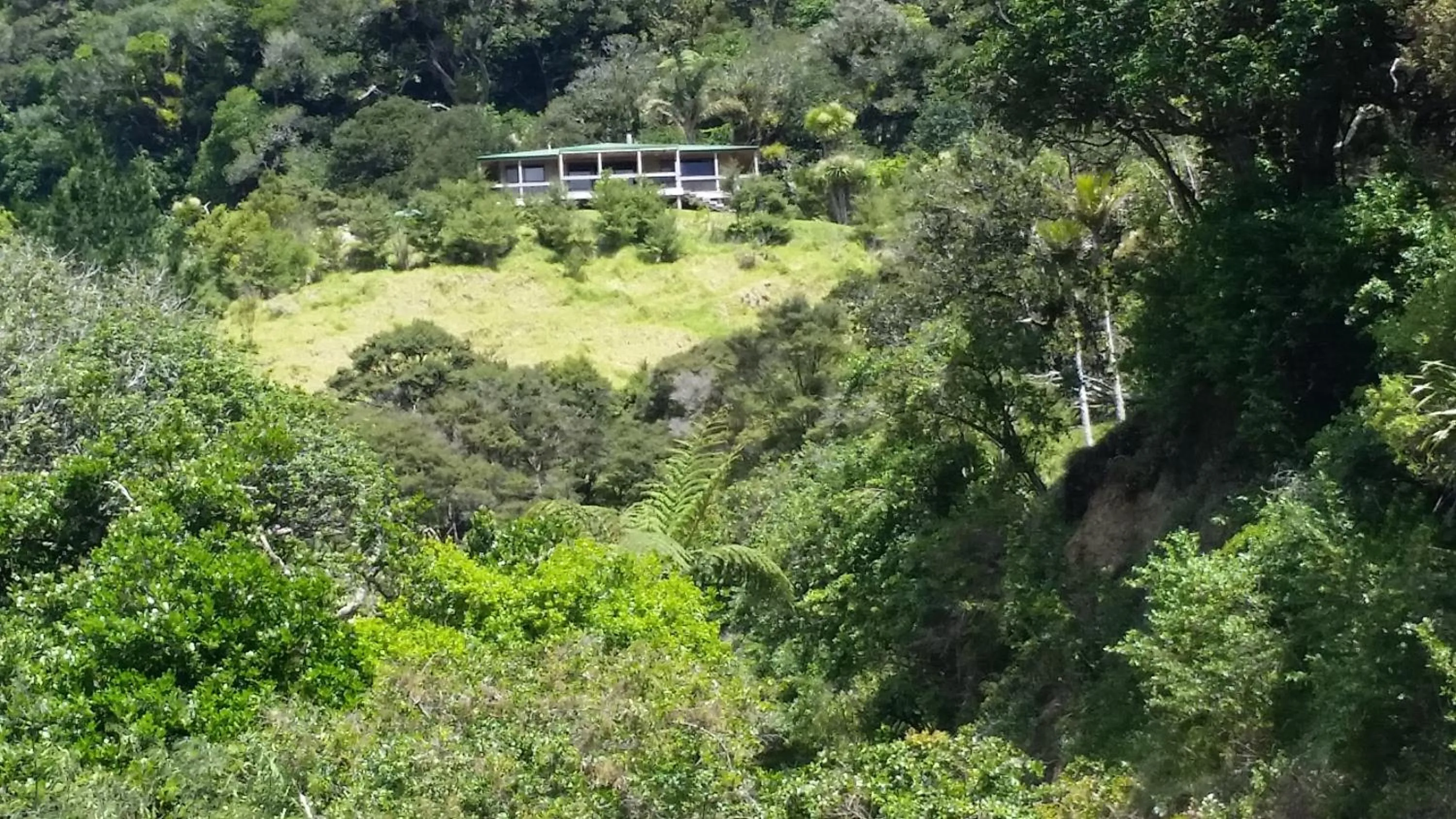Day in Waiotemarama Falls Lodge