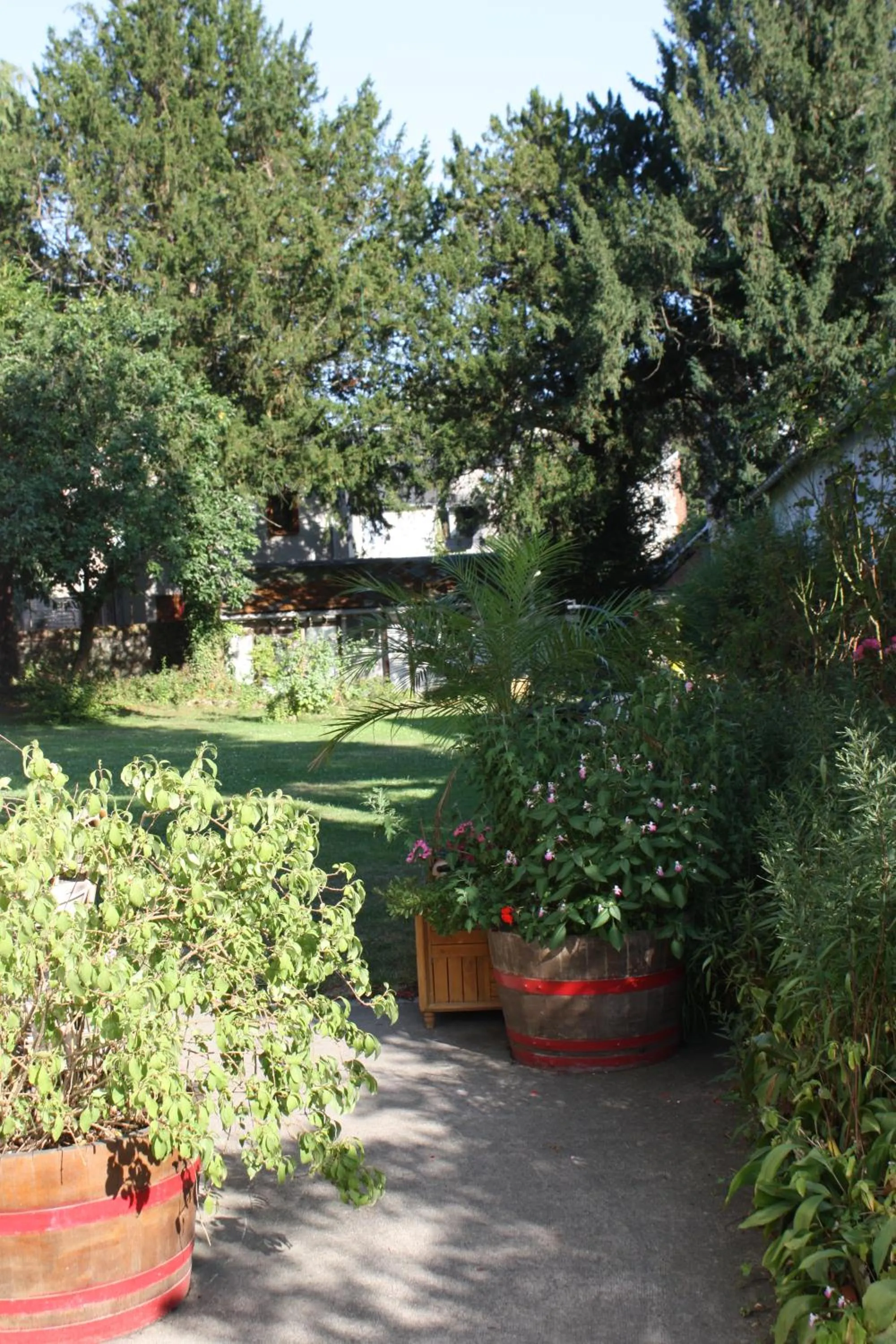 Garden in Hotel La Diligence