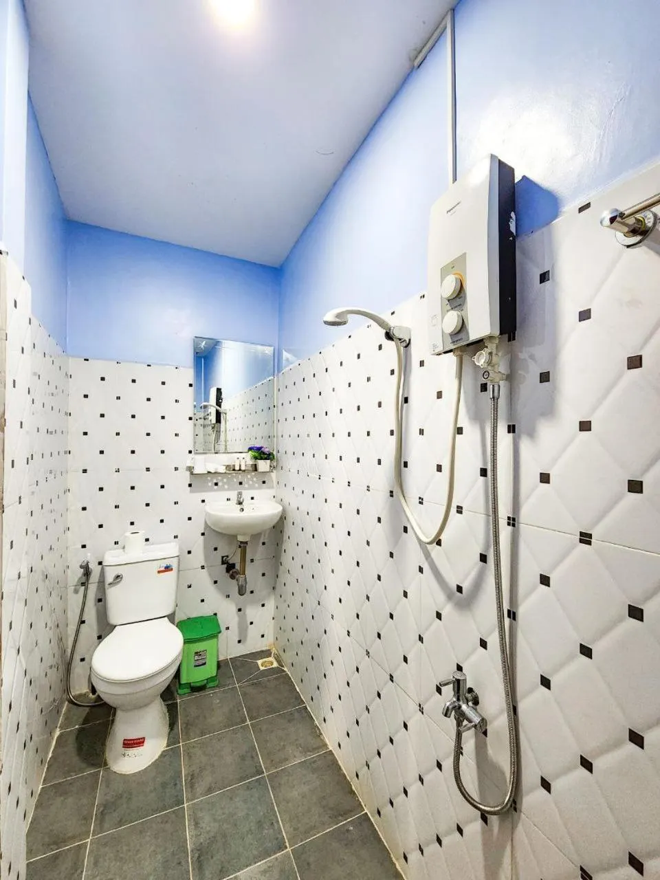 Toilet in Nika's House