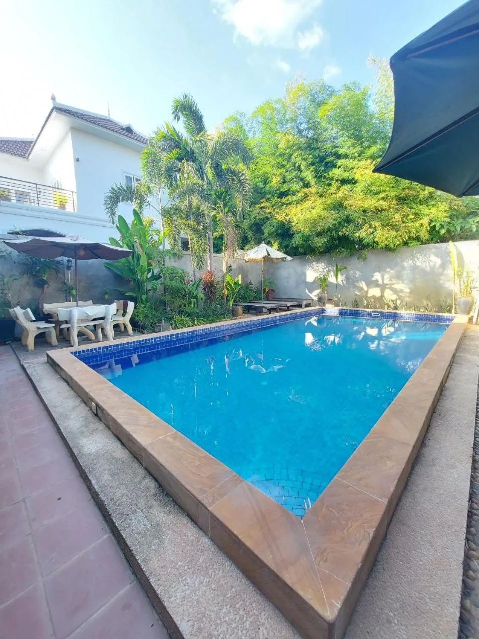 Swimming pool in Nika's House