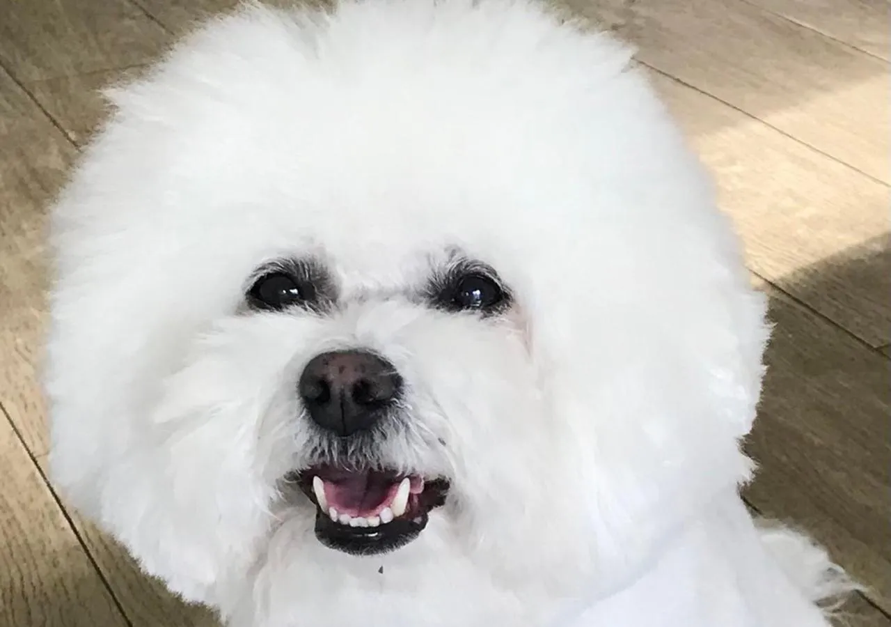 Business Hotel Nishikiryu