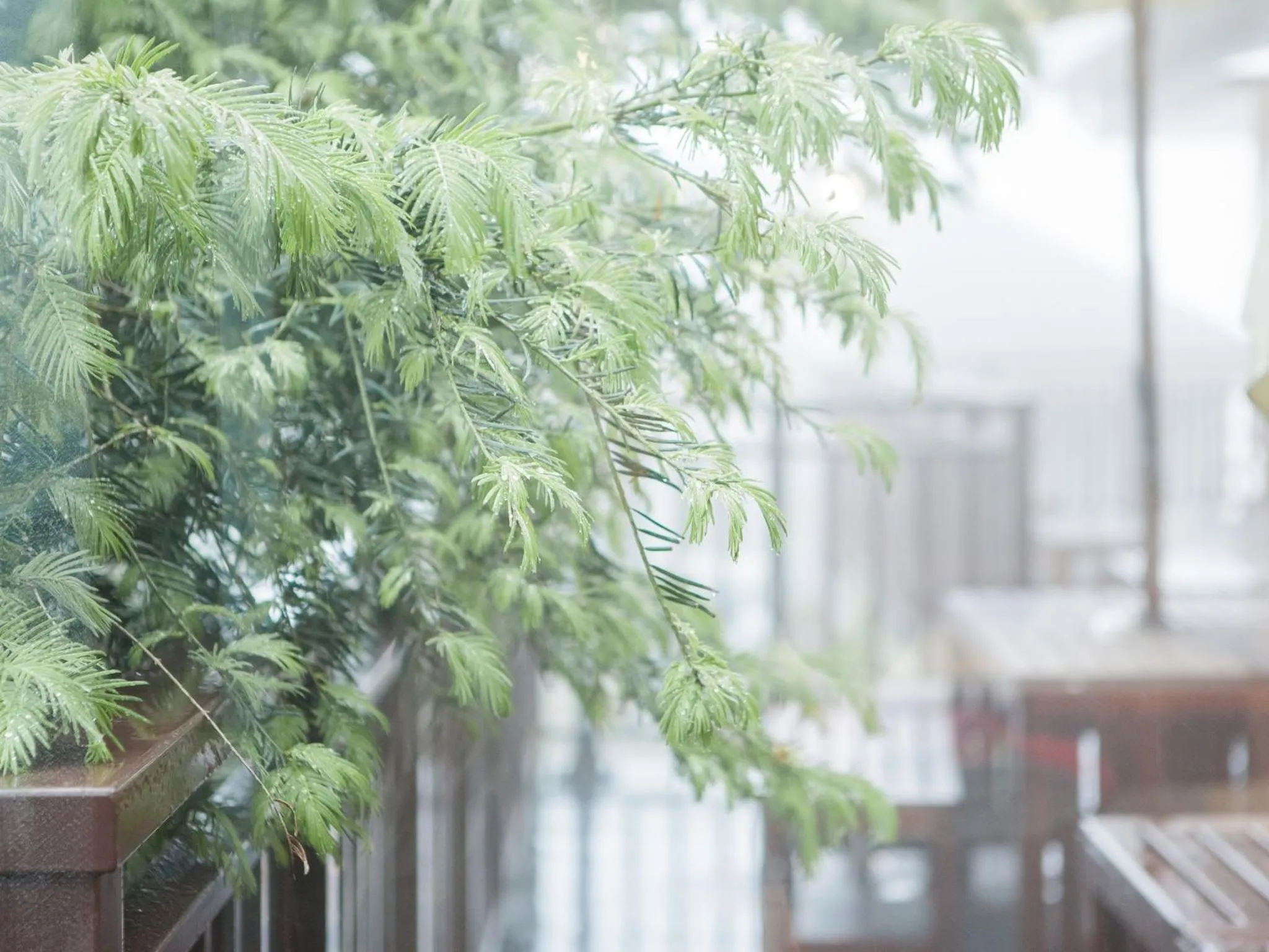 Balcony/Terrace in Cloud Villa