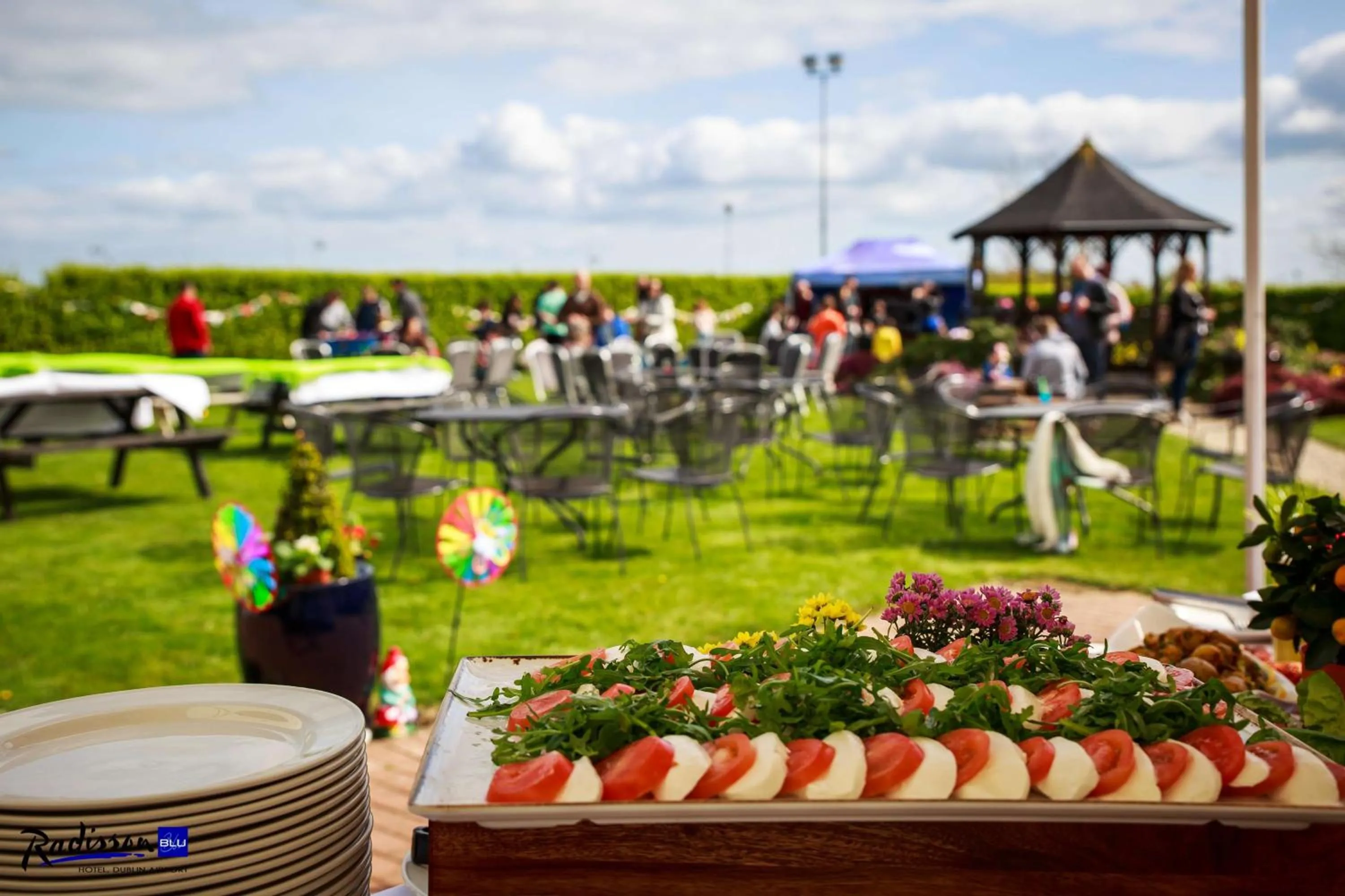 Meeting/conference room in Radisson Blu Hotel Dublin Airport