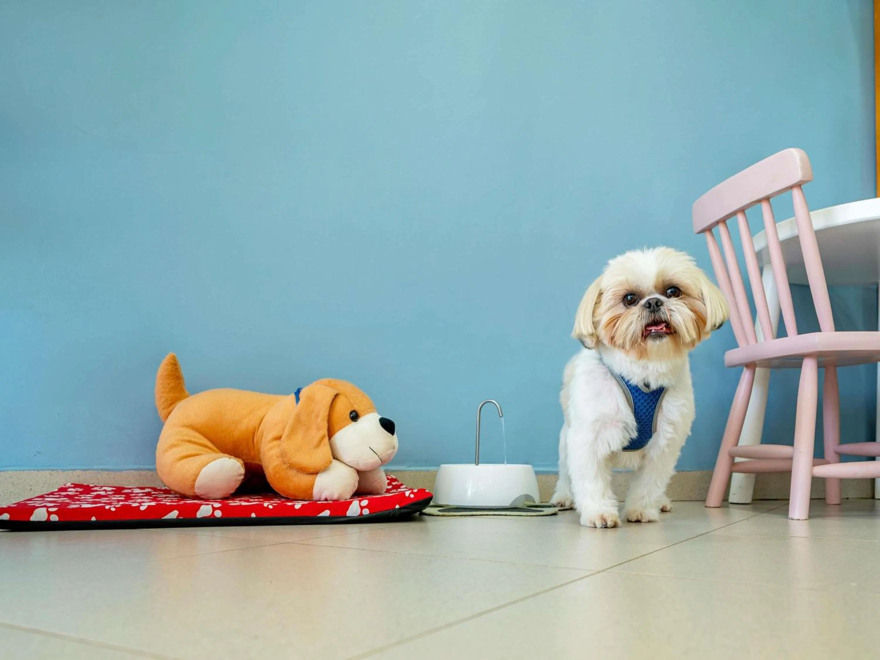 Property building in ibis budget Piracicaba